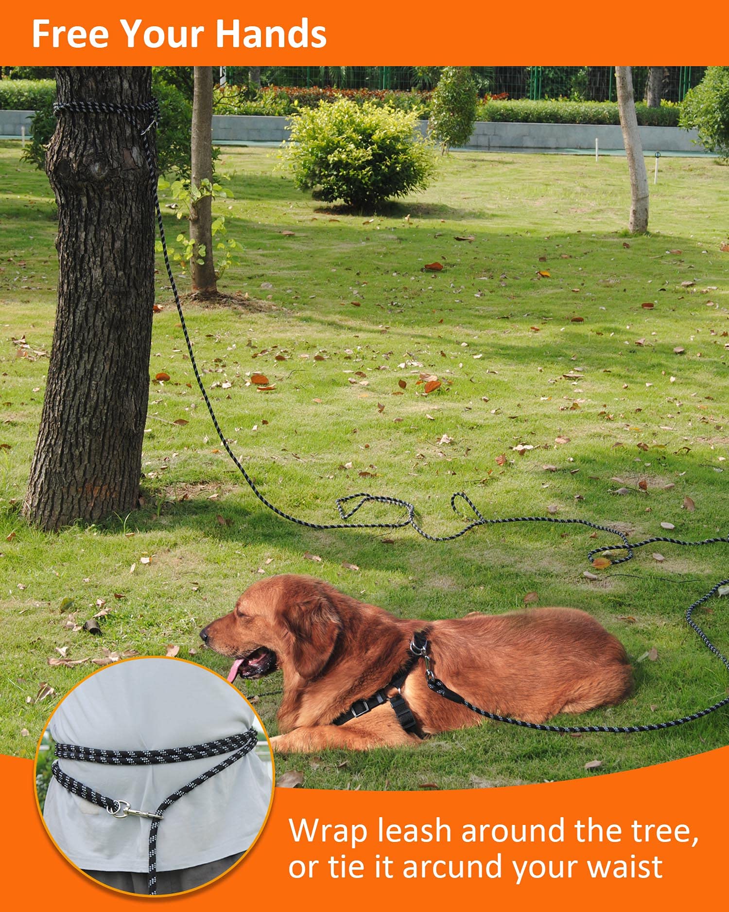 Long Dog Leash For Dog Training 10Ft 16Ft/30Ft/50Ft/100Ft, Reflective Threads Rope Dog Leash, Heavy Duty Dog Lead For Large Medium Small Dogs Walking Playing, Camping, Or Yard