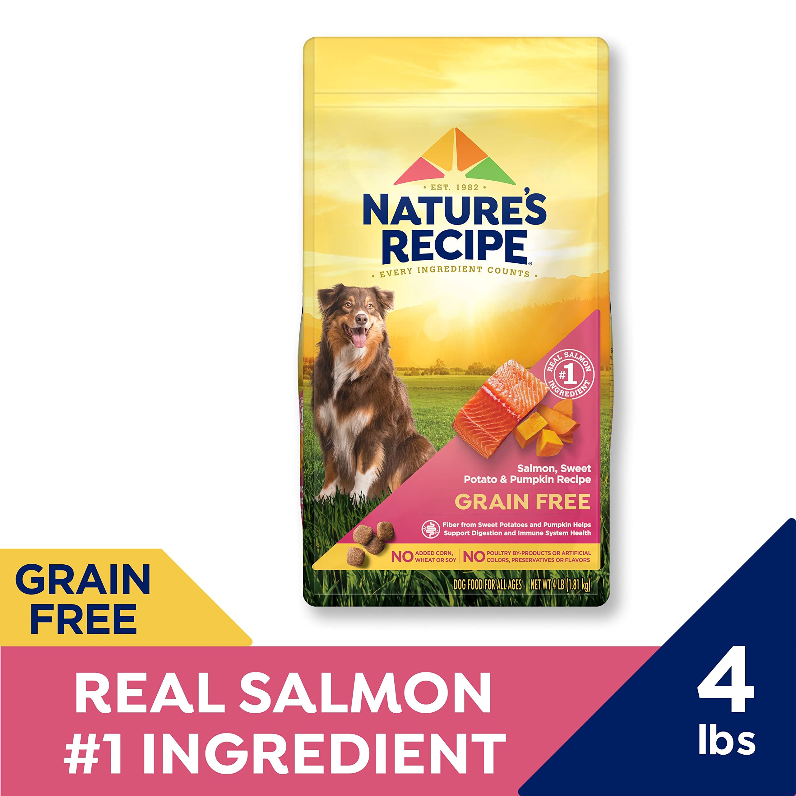 Natures Recipe Grain Free Salmon, Sweet Potato & Pumpkin Recipe Dry Dog Food, 4 lb. Bag