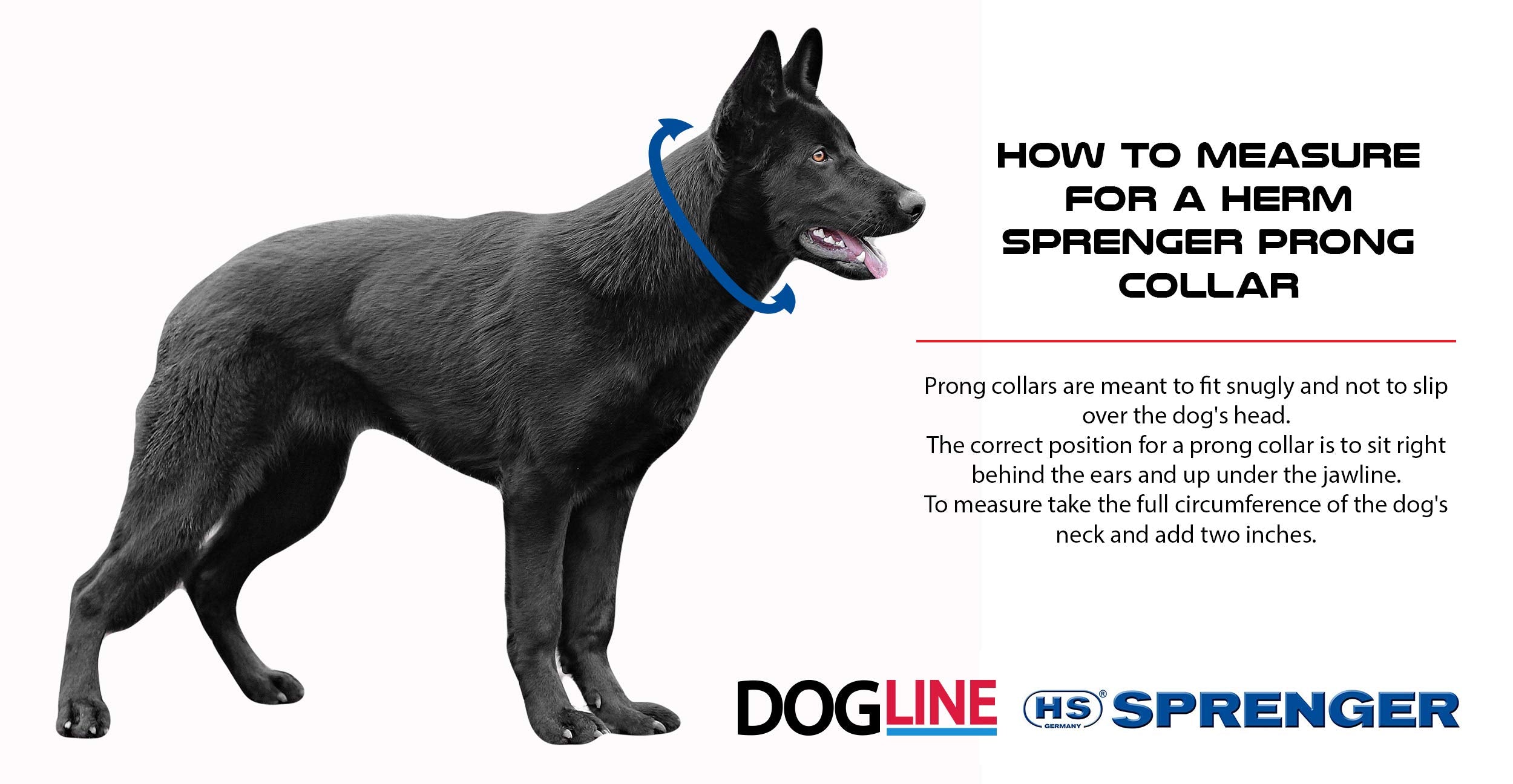 Hs Herm. Sprenger Germany Curogan Prong Dog Training Collar Ultra-Plus Pet Pinch Collar Hypoallergenic Nickel Free No-Pull Colla