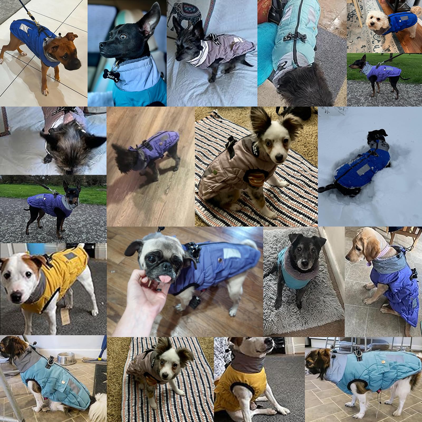 Gyuzh Dog Jacket With Pockets And Faux Fur Collar - Adjustable, Reflective, Waterproof Winter Coats For Small To Large Dogs (X-S