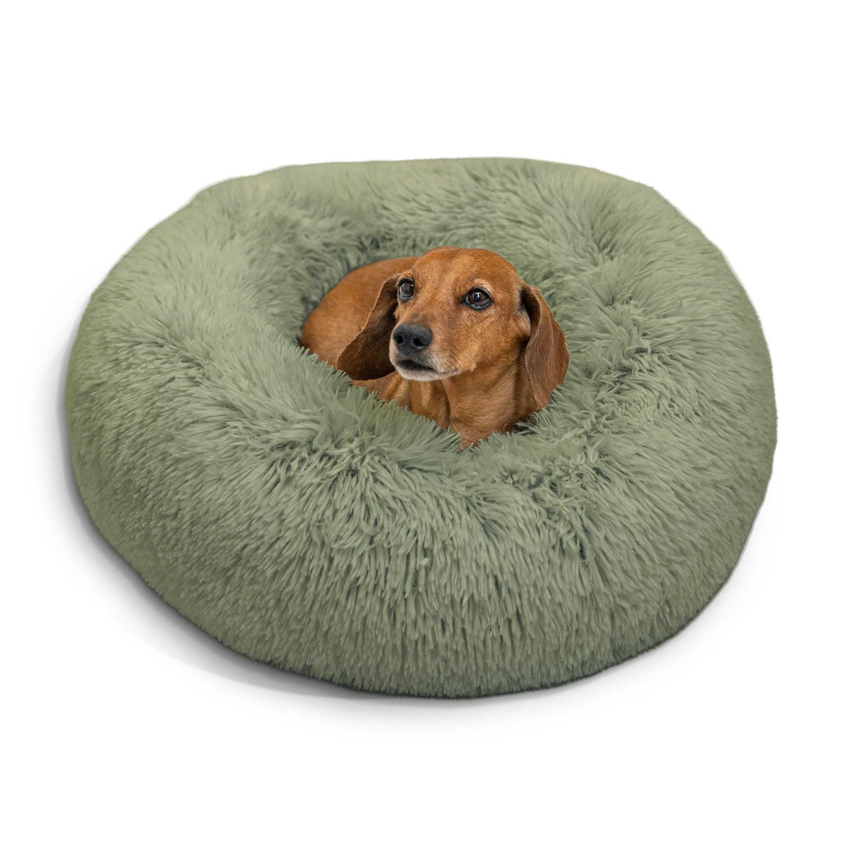 Best Friends By Sheri The Original Calming Donut Cat And Dog Bed In Shag Fur Sage, Small 23''