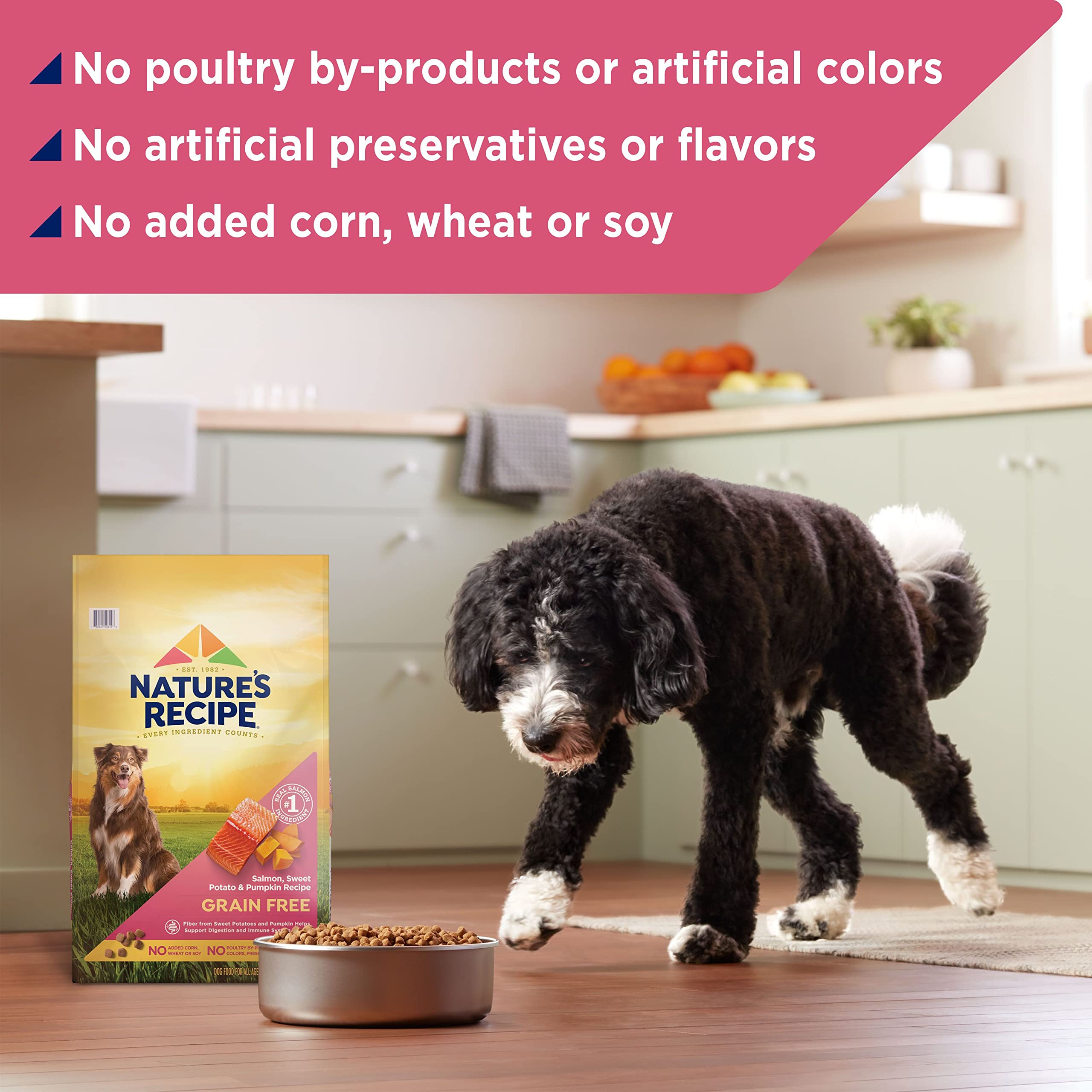 Nature s Recipe Grain Free Salmon, Sweet Potato & Pumpkin Recipe Dry Dog Food, 34 lb. Bag