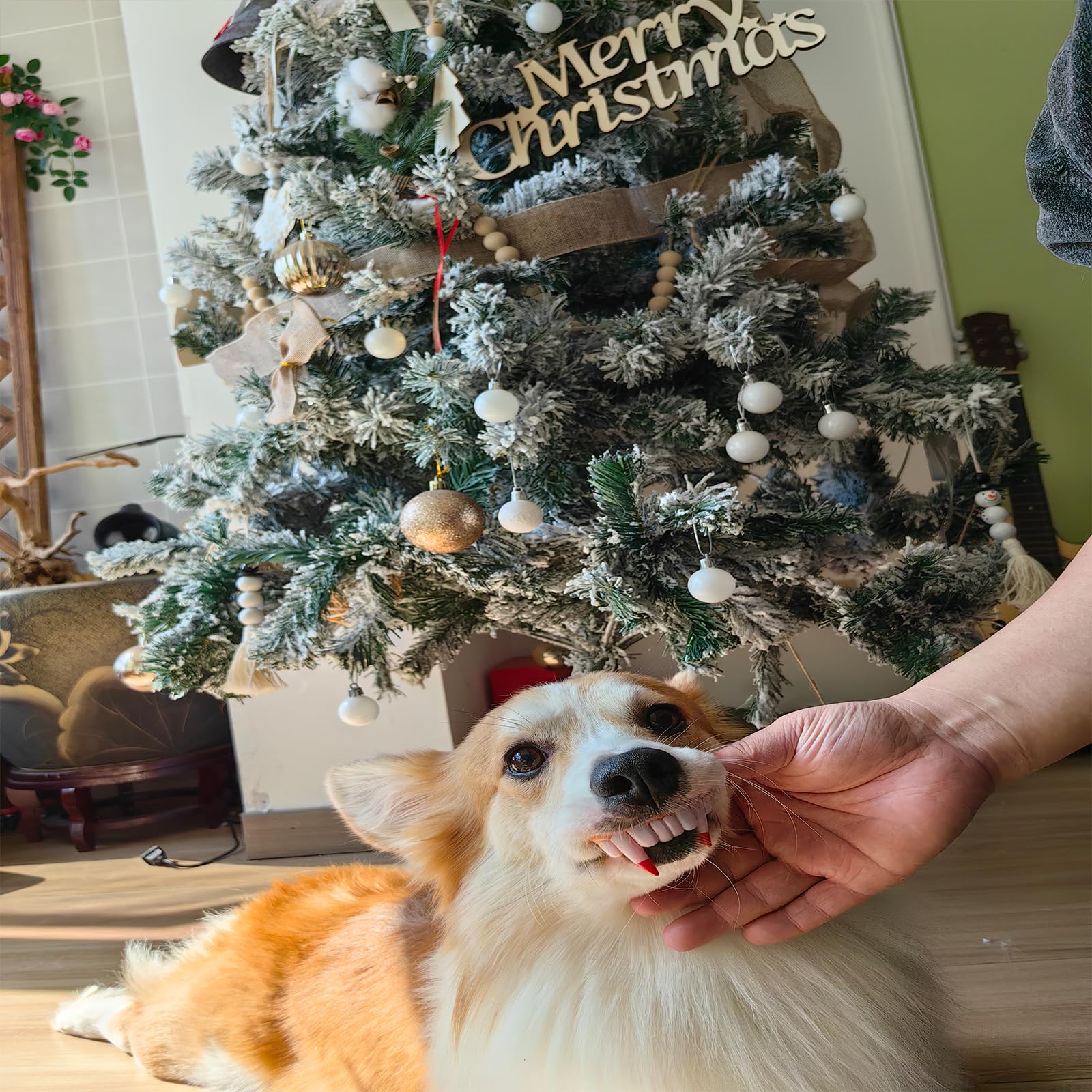 Vampire & Rabbit Teeth For Medium & Large Dogs - 2 Pcs Funny Dog Teeth Braces For Halloween & Christmas Festival Costume