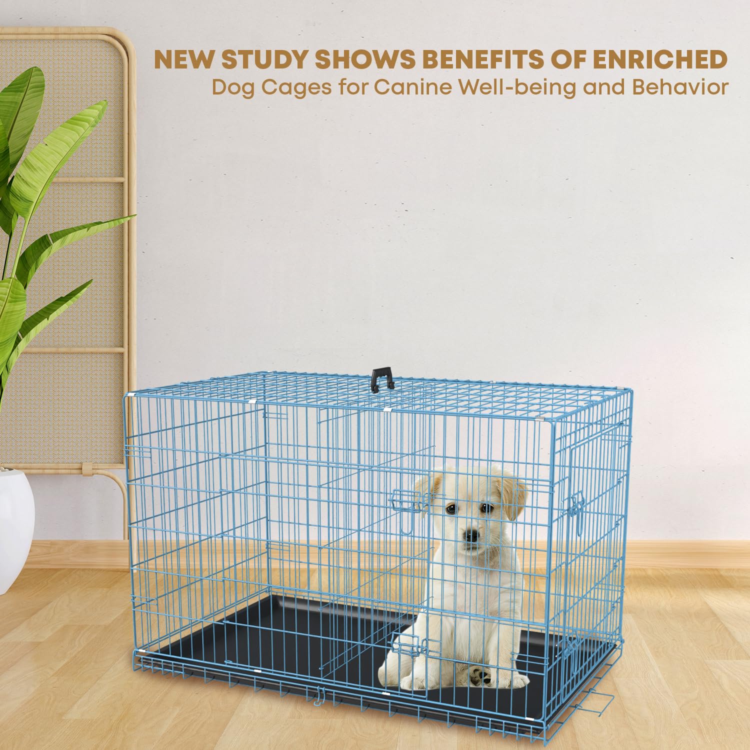 30 Inch Dog Crate Dog Cage for Large Dogs Folding Mental Wire Dog Kennel Outdoor and Indoor with Double-Door Divider Panel Remov