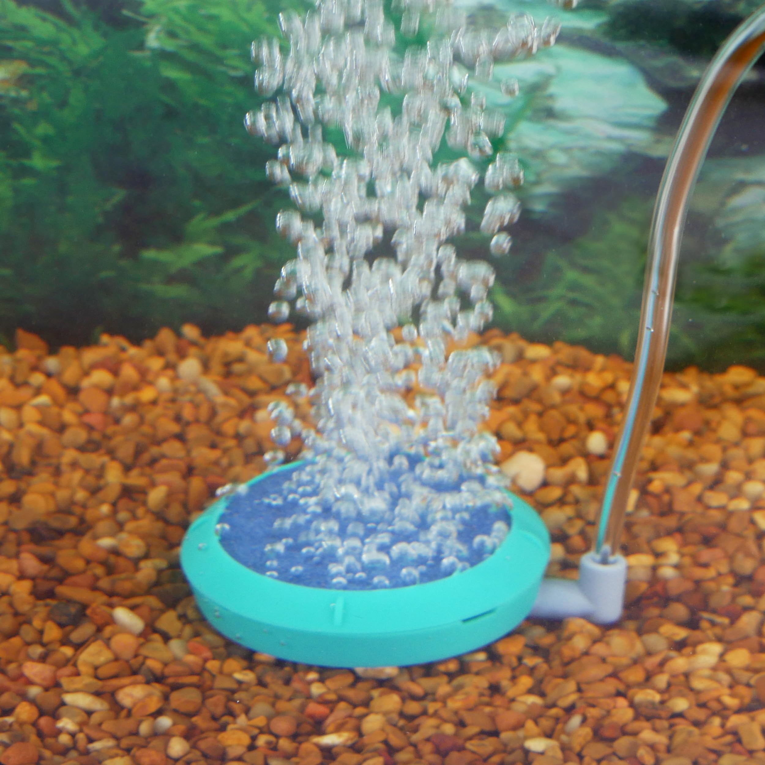 Penn-Plax Aquarium Bubble Disk Aerator - Air Pump Accessories – For Fish Tanks (Small)
