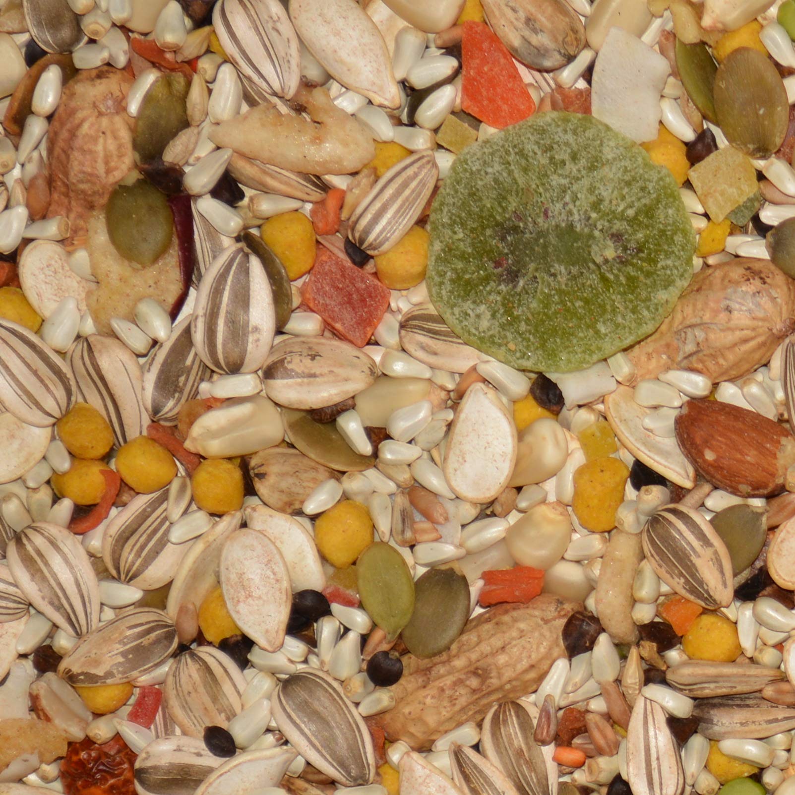 Volkman Avian Science Super Parrot Bird Food 4 lb