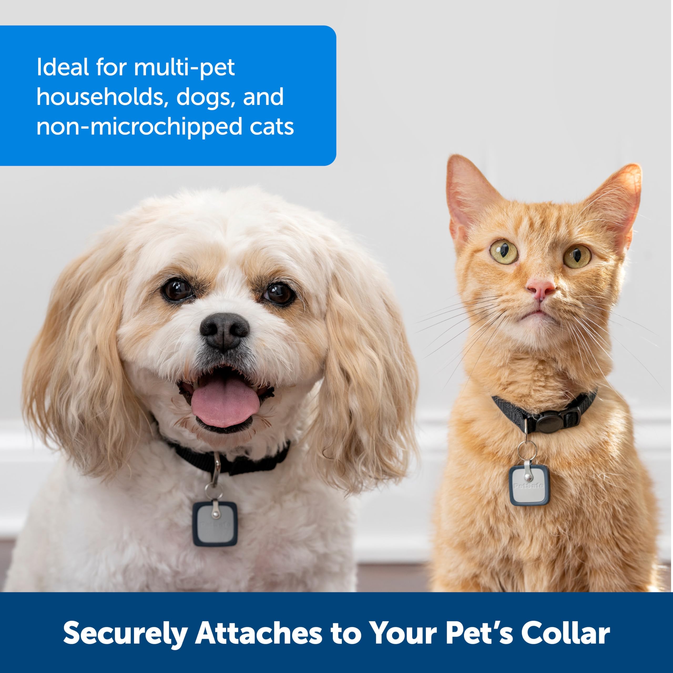 PetSafe SmartDoor Connected Pet Door Key for Dogs and Cats, Small, Gray, Model ZAC19-17240, Collar Key Accessory