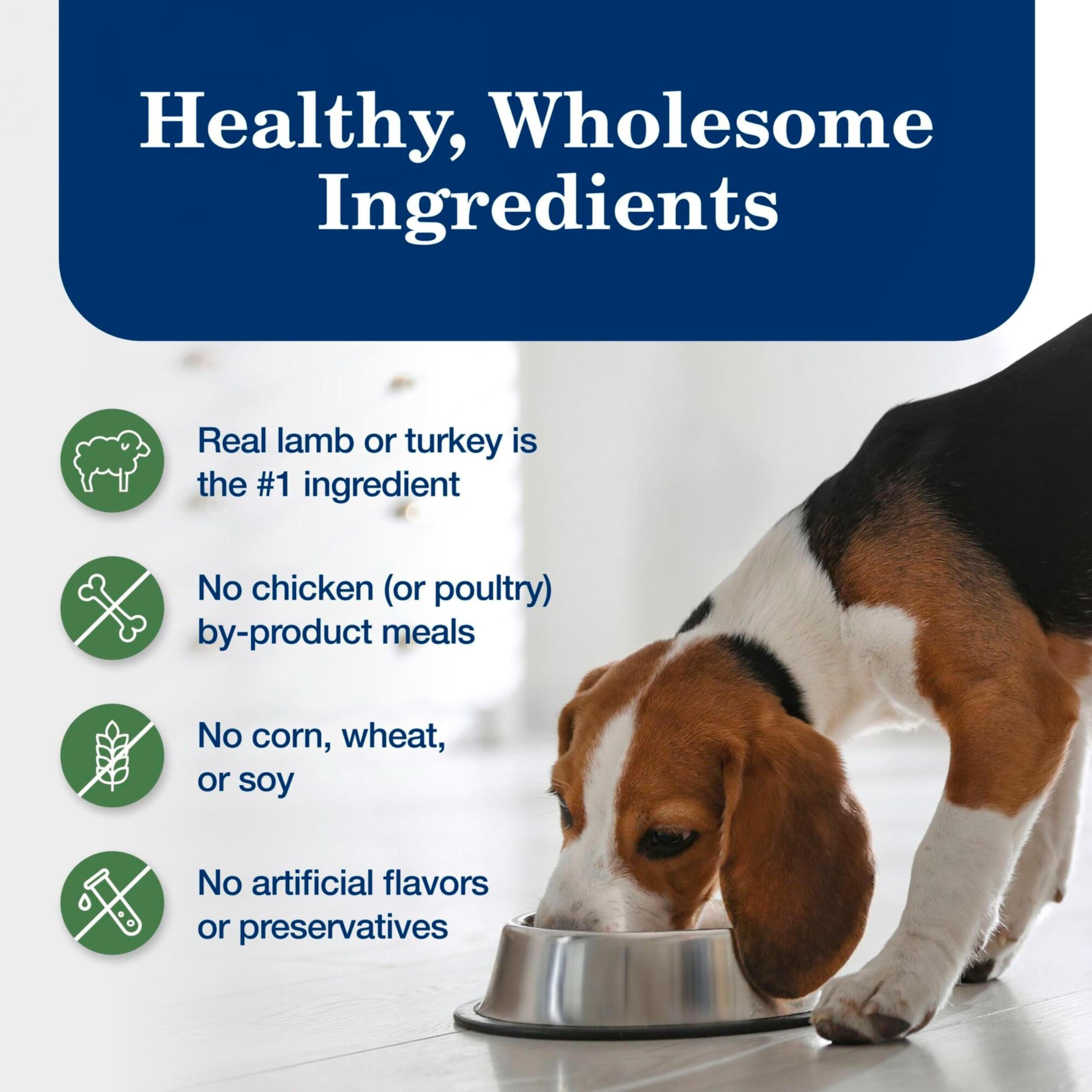 Blue Buffalo Homestyle Recipe Adult Wet Dog Food, Made with Natural Ingredients, Turkey and Lamb Dinner Variety Pack, 12.5-oz Ca