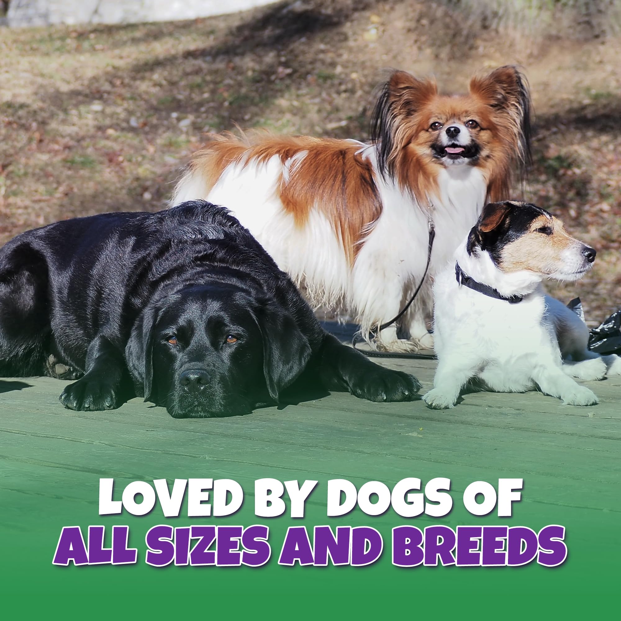 Lively Tails Turkey Tendon Strips Made in USA with 100% Turkey and No Glycerin, Healthy Jerky Dog Treats for Medium and Small Do