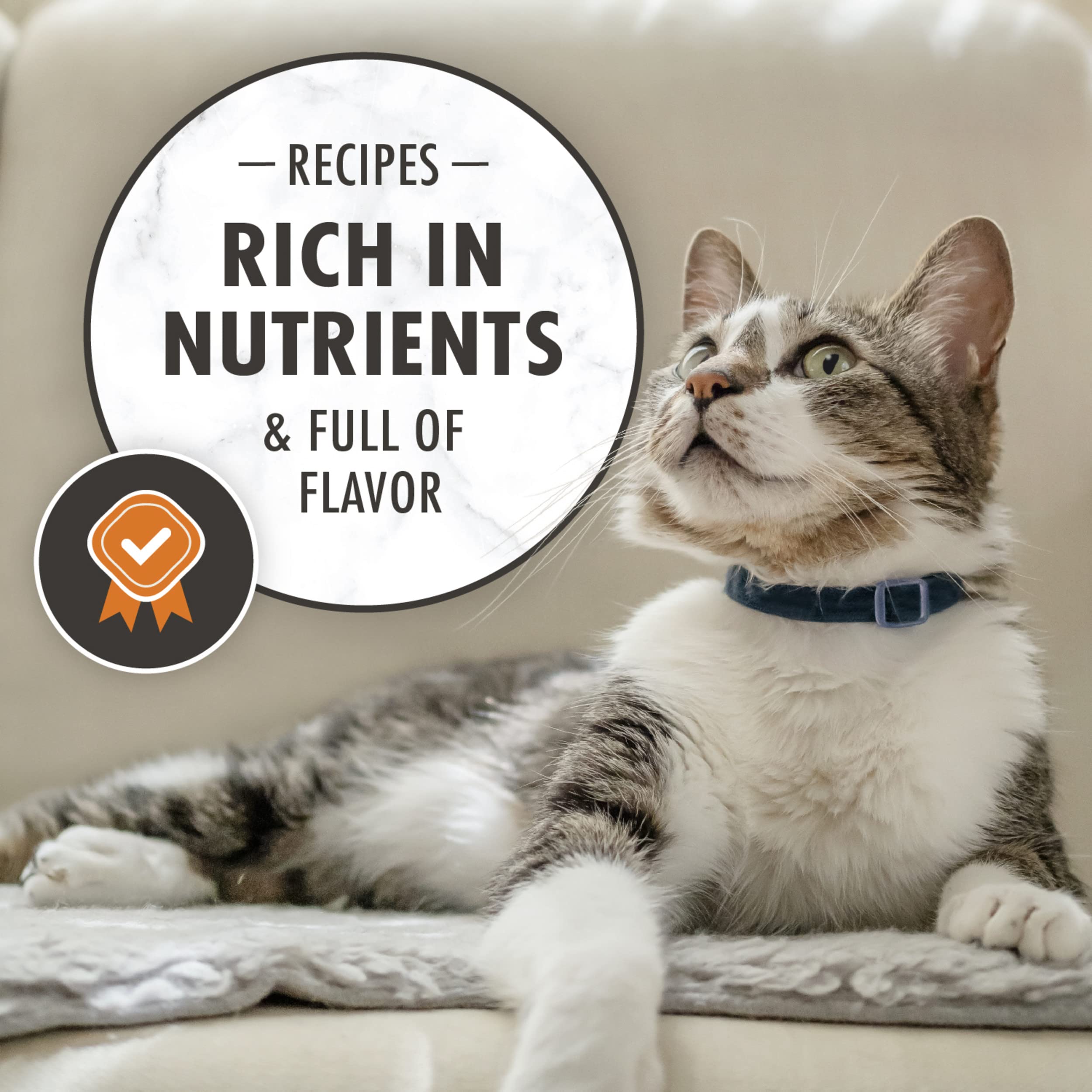 Nutro Wholesome Essentials Adult Dry Cat Food, Chicken & Brown Rice Recipe, 5 lb. Bag