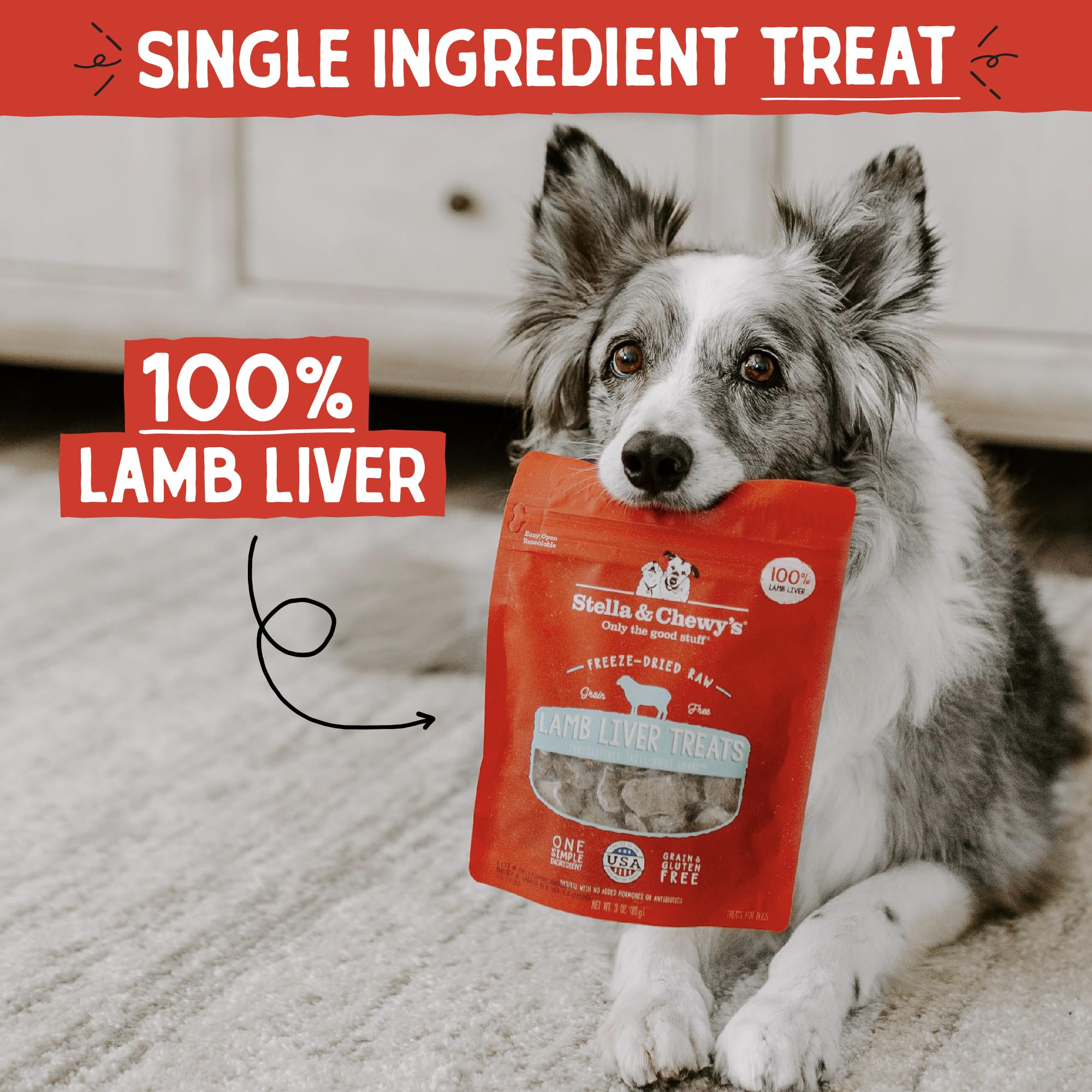 Stella & Chewys Freeze-Dried Raw Single Ingredient Lamb Liver Treats, 3 oz. Bag