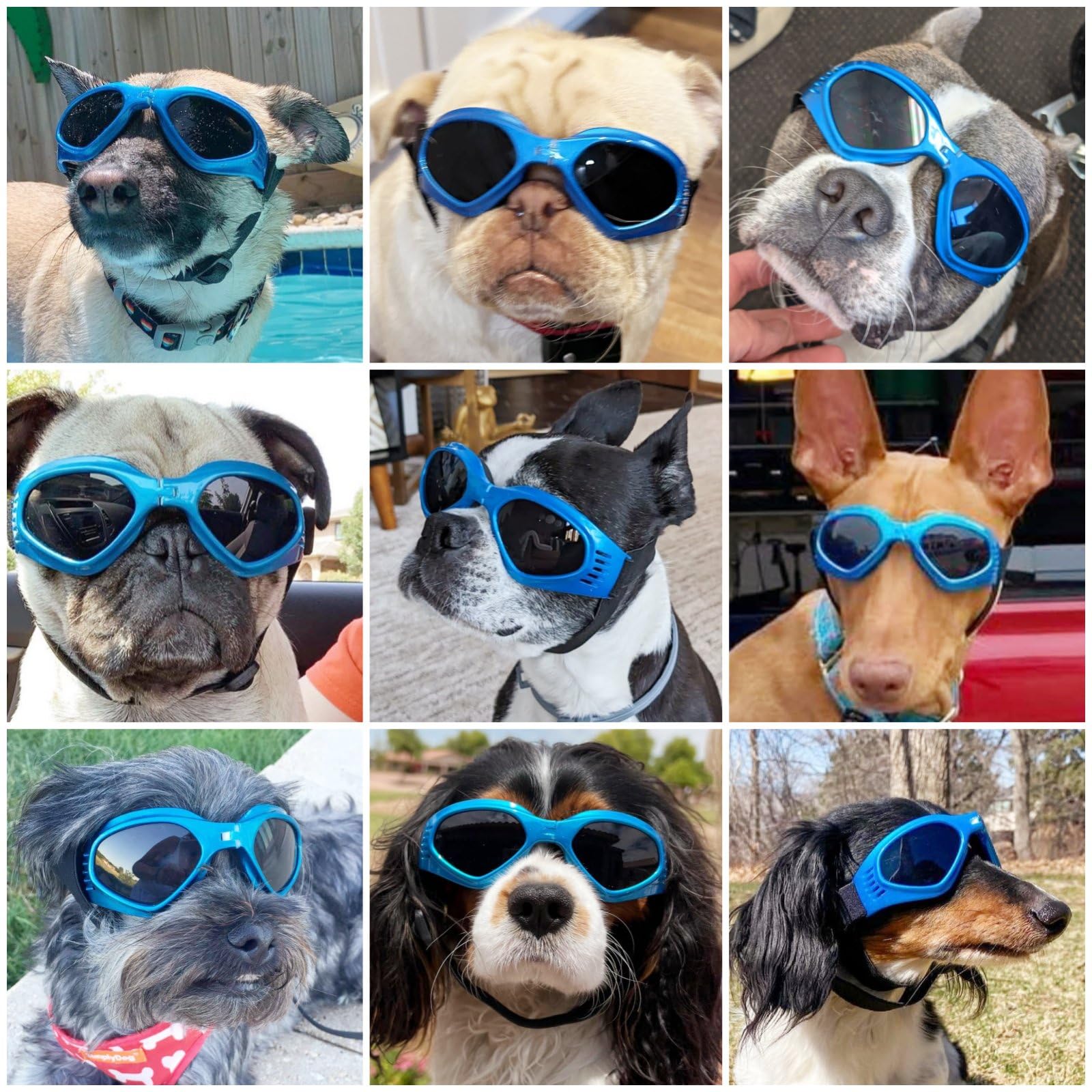 Namsan Dog Sunglasses Medium Breed Uv Protection Dog Goggles For Small To Medium Dogs Windproof Anti-Fog Snowproof Puppy Glasses, Easy Wear/Adjustable (Blue)