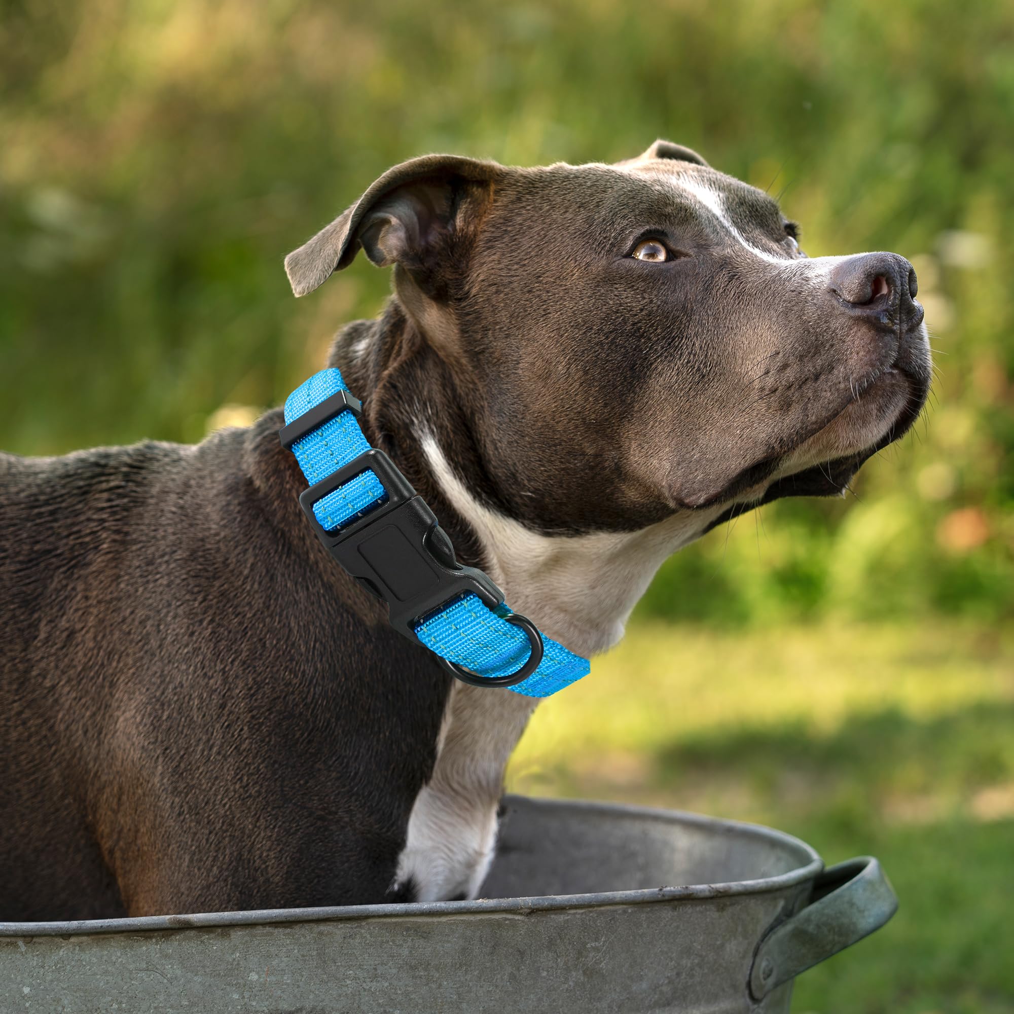 Mile High Life Dog Collar | Nylon Reflective Dog Collars | Light Weight Puppy Collars | Dark Blue Dog Collars For Small Dogs (Da