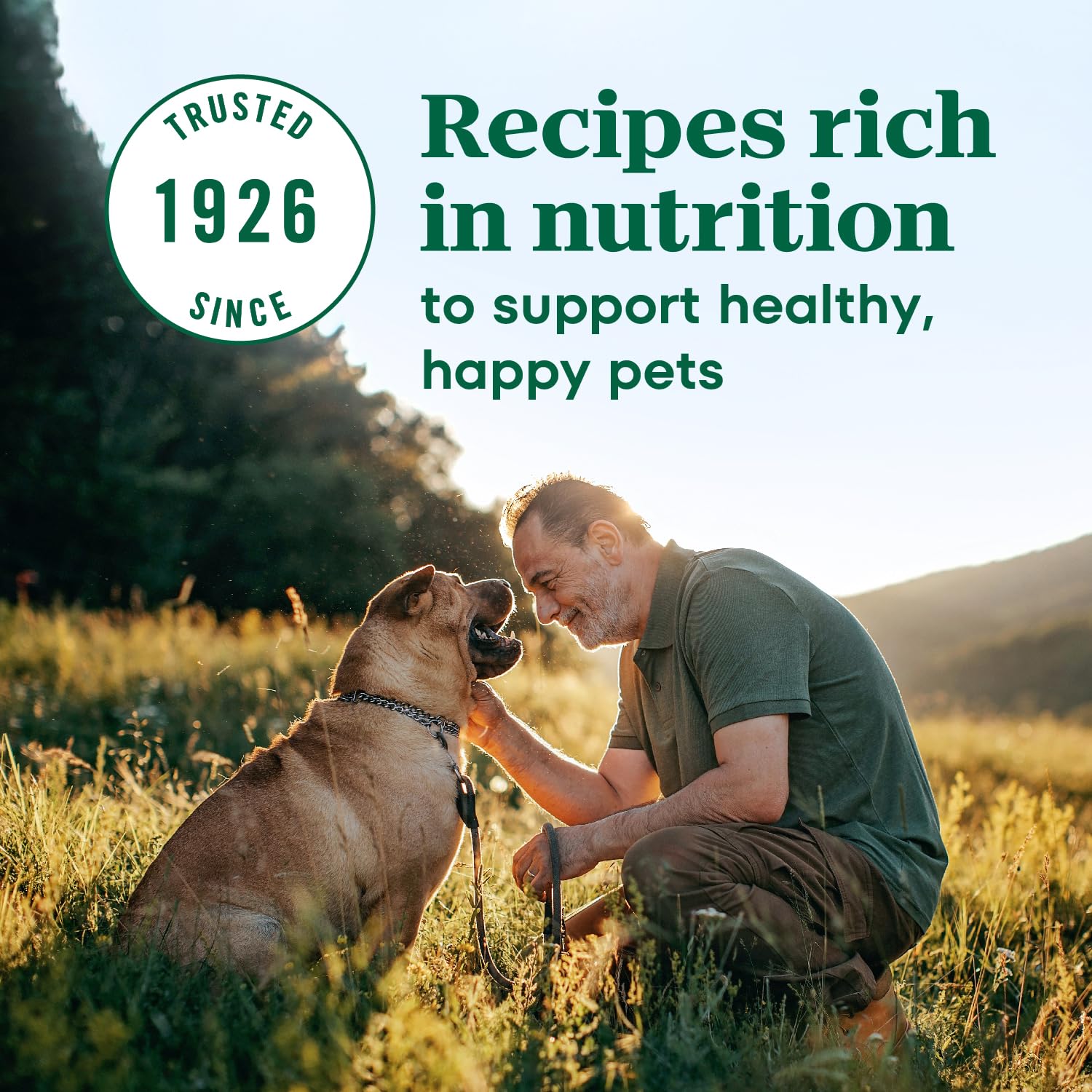 Nutro Max Adult Dry Dog Food with Beef, 25 lb. Bag