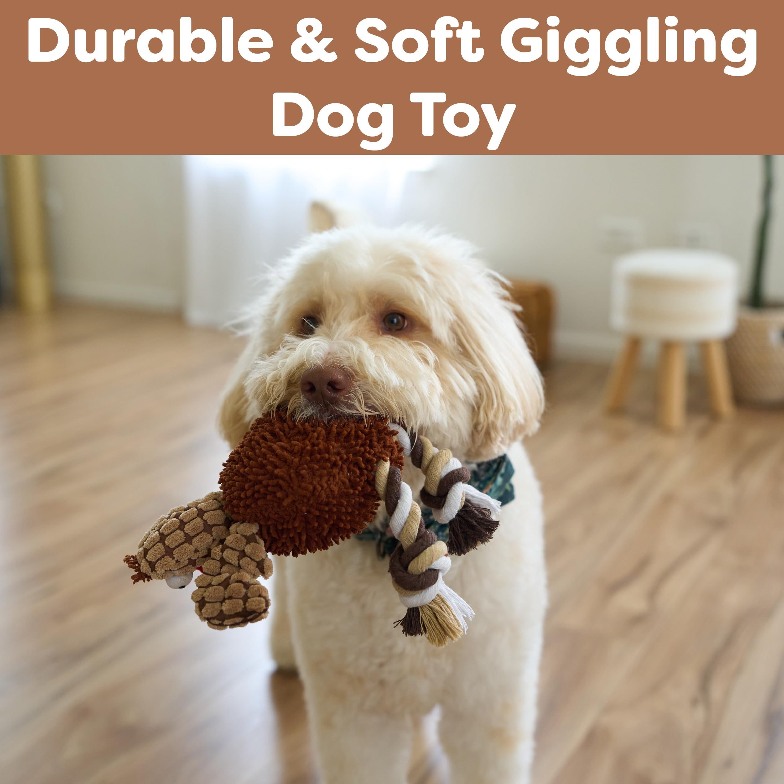 Ethical Pets Gigglers Chicken Dog Toy, 12-Inch, Assorted