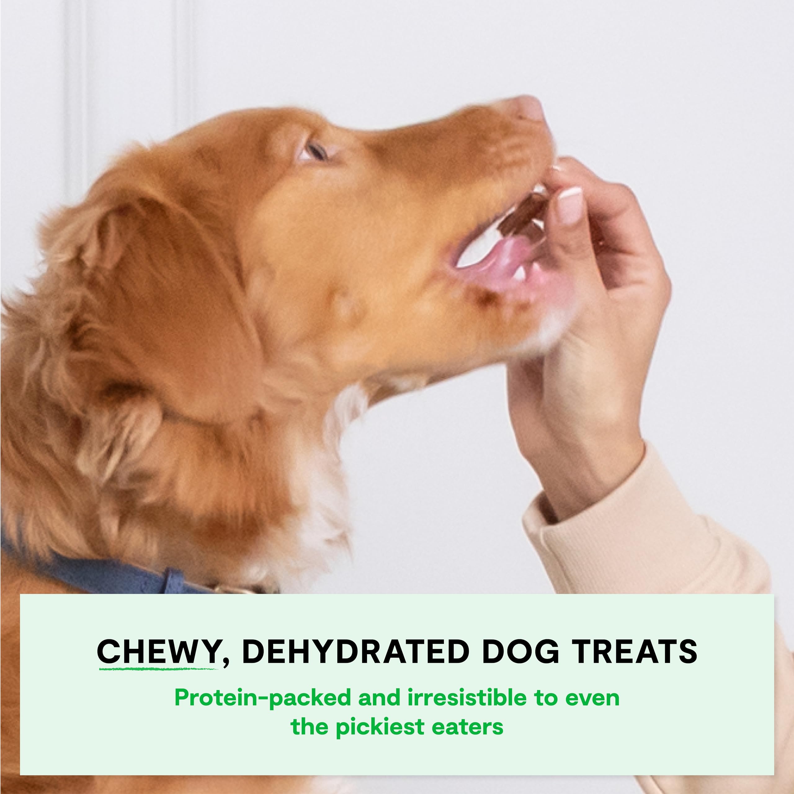Open Farm, Dehydrated Dog Treats, High Protein & Low Carbohydrate Dog Snacks, Chewy Texture, Made with Ethically & Sustainably S
