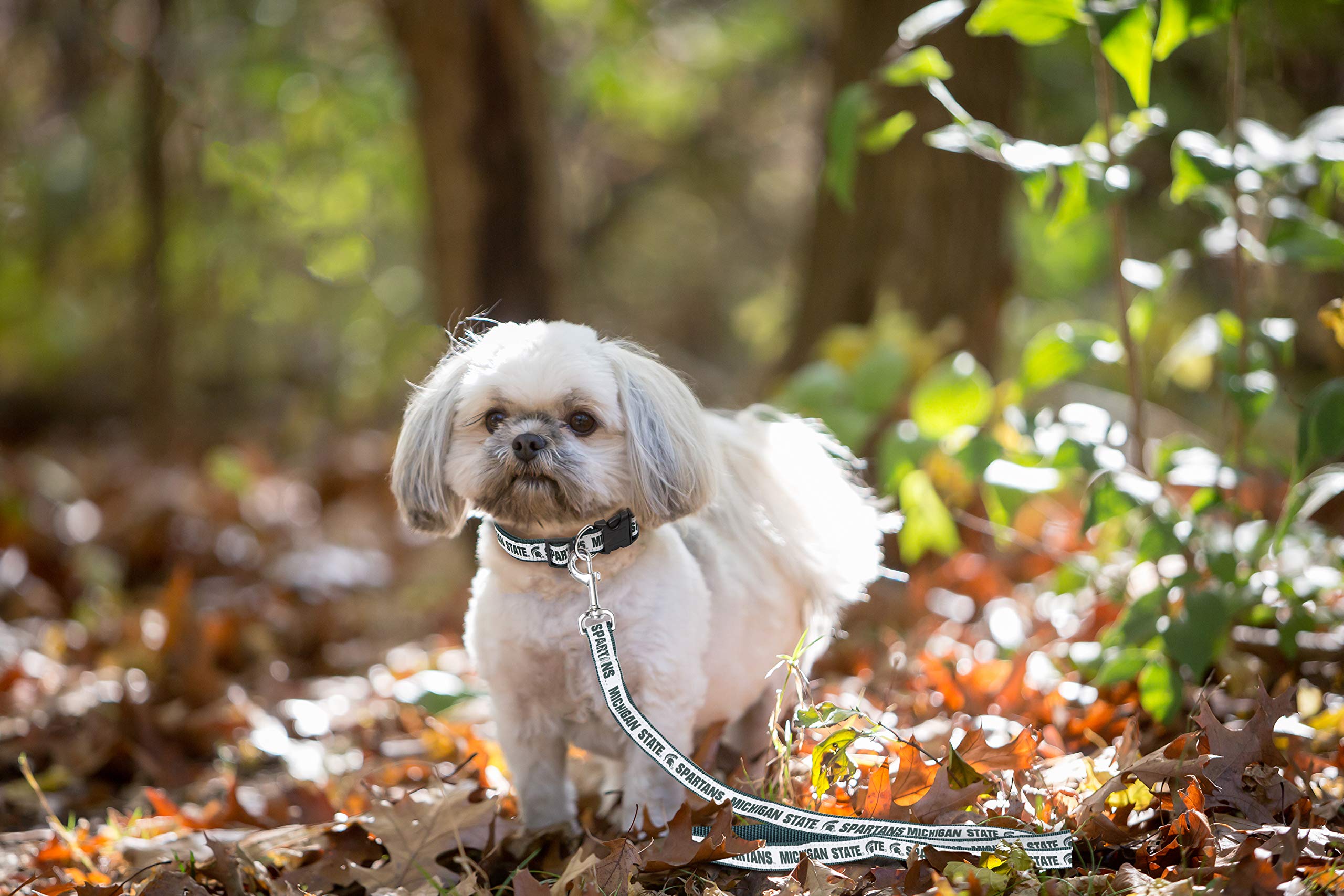 Ncaa Pet Leash, Medium, Michigan State Spartans, Dog Leash, Shiny & Colorful Leash For Dogs & Cats Licensed By The Ncaa