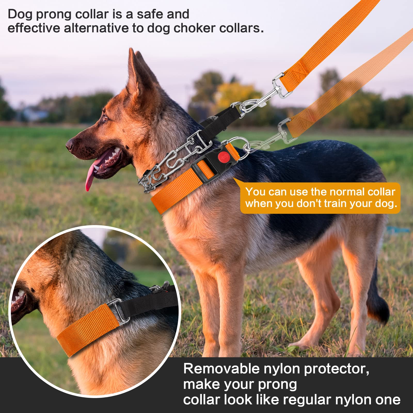 Prong Training Collar With Nylon Cover Comfort Tips, Quick Release Snap Buckle, Classic Collar and Leash