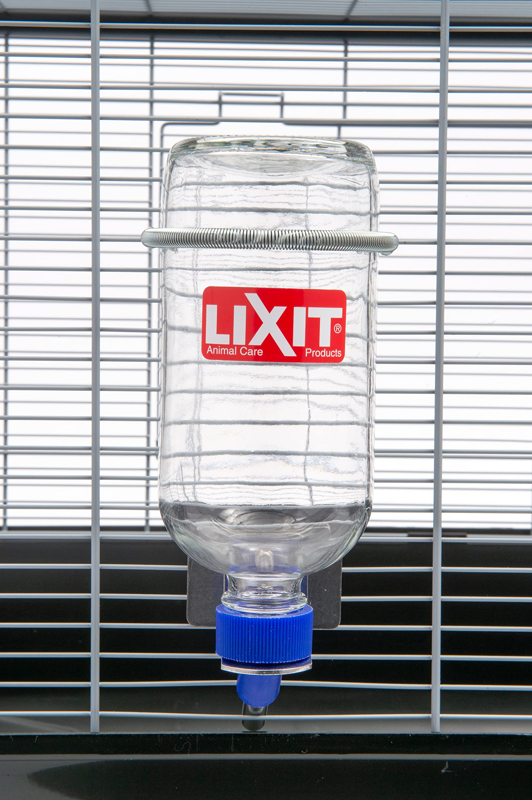 Lixit Glass Water Bottles for Rabbits, Ferrets, Small Birds, Guinea Pigs, Rats, Hamsters and Other Pets (16ozHD)