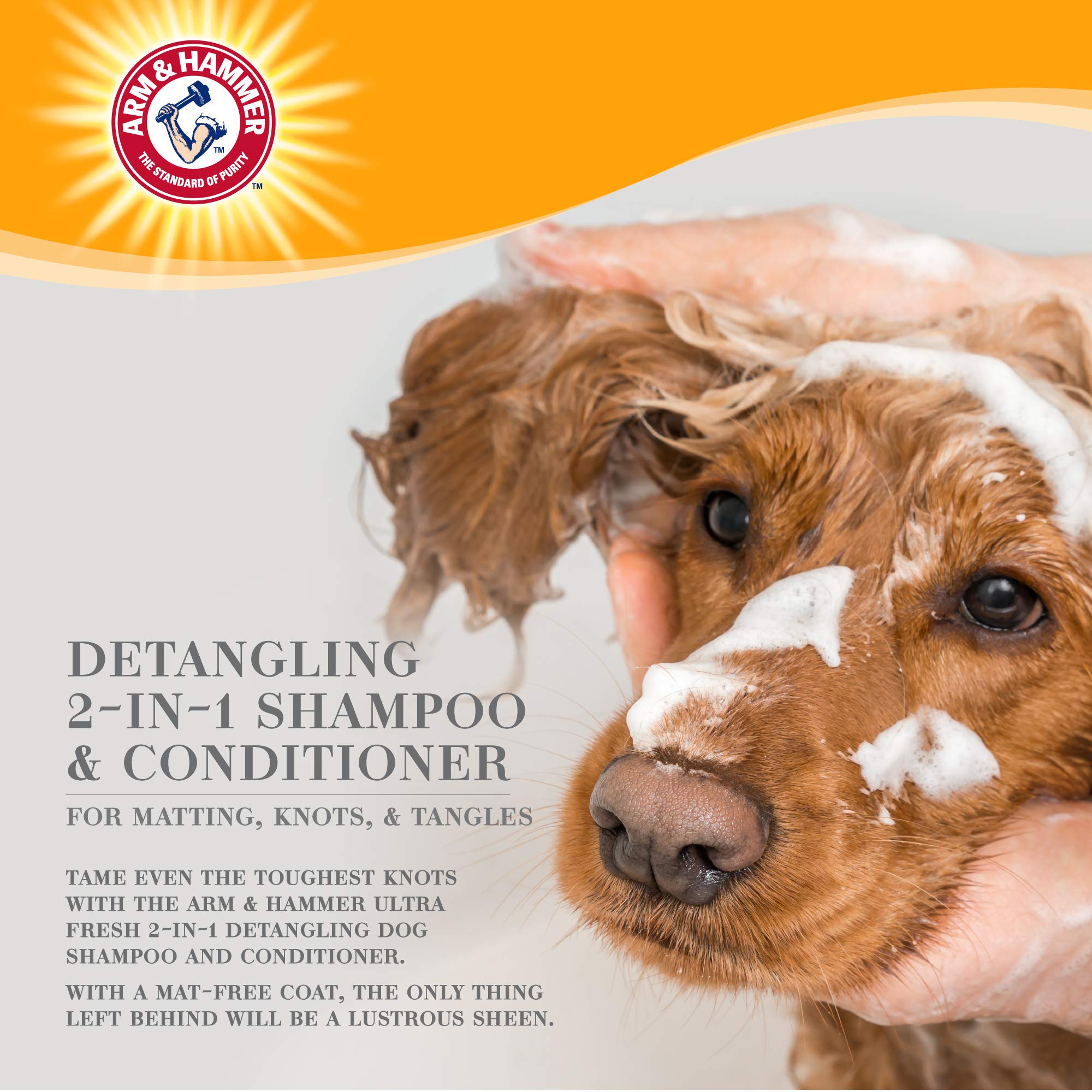 Arm & Hammer Ultra Fresh 2-In-1 Detangling Shampoo And Conditioner, 16 Oz | Baking Soda Neutralizes Bad Odors For An Advanced Clean | Cucumber And Pear Scent
