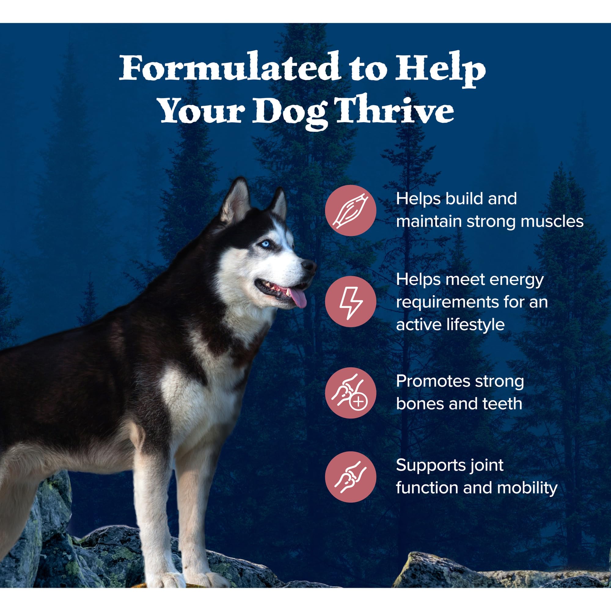 Blue Buffalo Wilderness Natural High-Protein Dry Food for Adult Dogs, Salmon Recipe, 4.5-lb. Bag