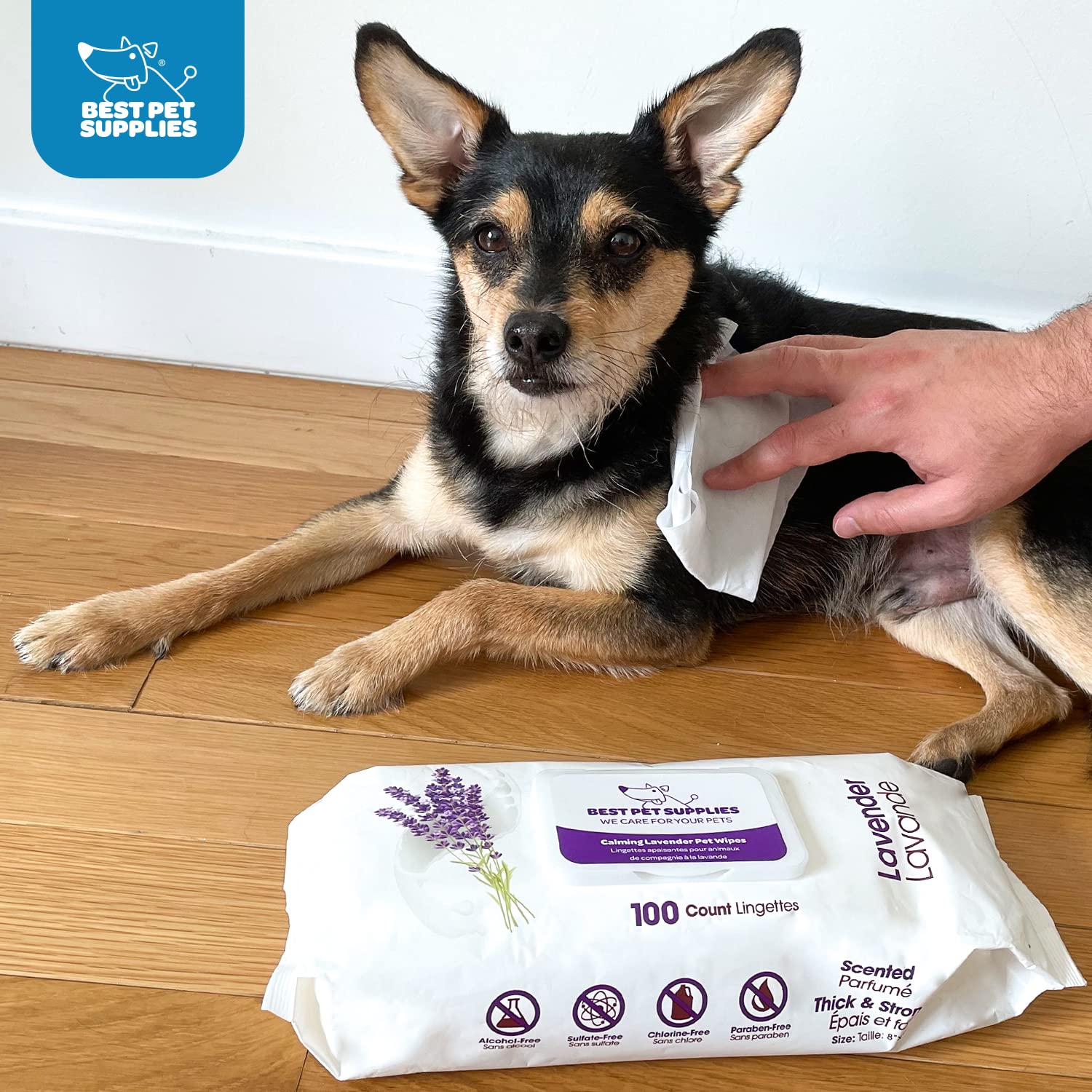 Best Pet Supplies 8'' X 9'' Pet Grooming Wipes For Dogs & Cats, 100 Pack, Plant-Based Deodorizer For Coats & Dry, Itchy, Or Sens