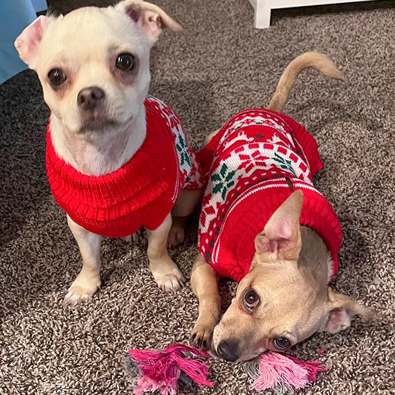 Kyeese Christmas Dog Sweaters For Small Dogs Snowflake Reindeer Dog Sweater With Leash Hole Ugly Dog Holiday Sweater Pet Sweater