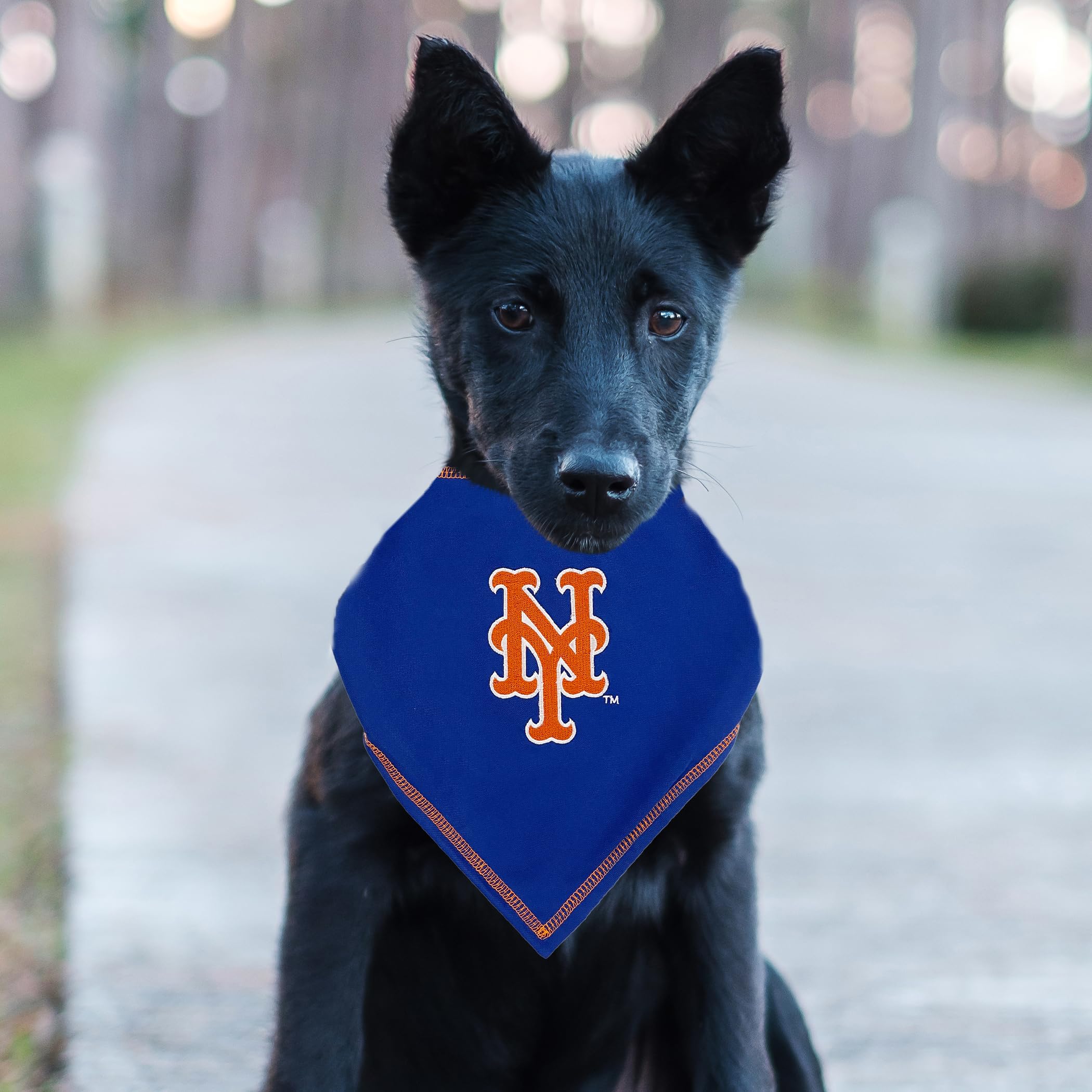Pets First Mlb New York Mets Tie Bandana, Small/Medium. Dog Bandana Scarf Bib For Pet Cat Dog. The Ultimate Game-Day, Party Band