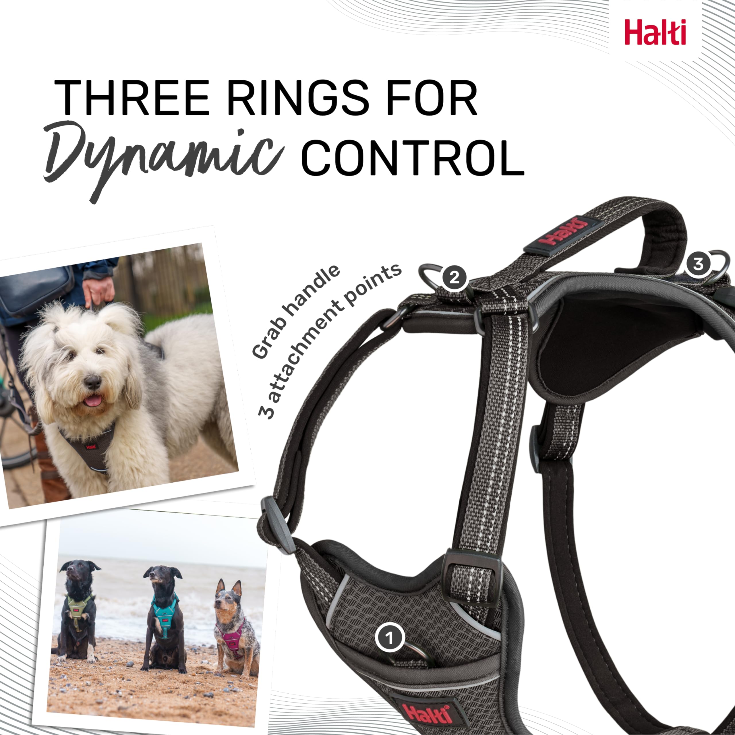 HALTI Anatomy Dog Harness with Handle - Provides Your Dog Freedom of Movement for Comfortable Walking. 3 Leash Attachment Points