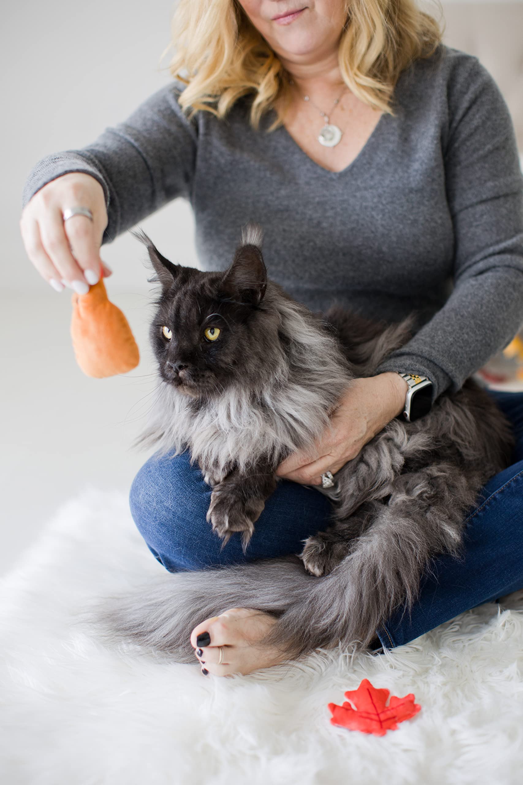 Pearhead Maple Cat Toys, Holiday Pet Toy, Thanksgiving Cat Toy, Crinkle And Cat Nip Toys, Cat Teaser Toys, Must Have Pet Accessories For Pet Owners, Toys To Play Chase Exercise, Set Of 2