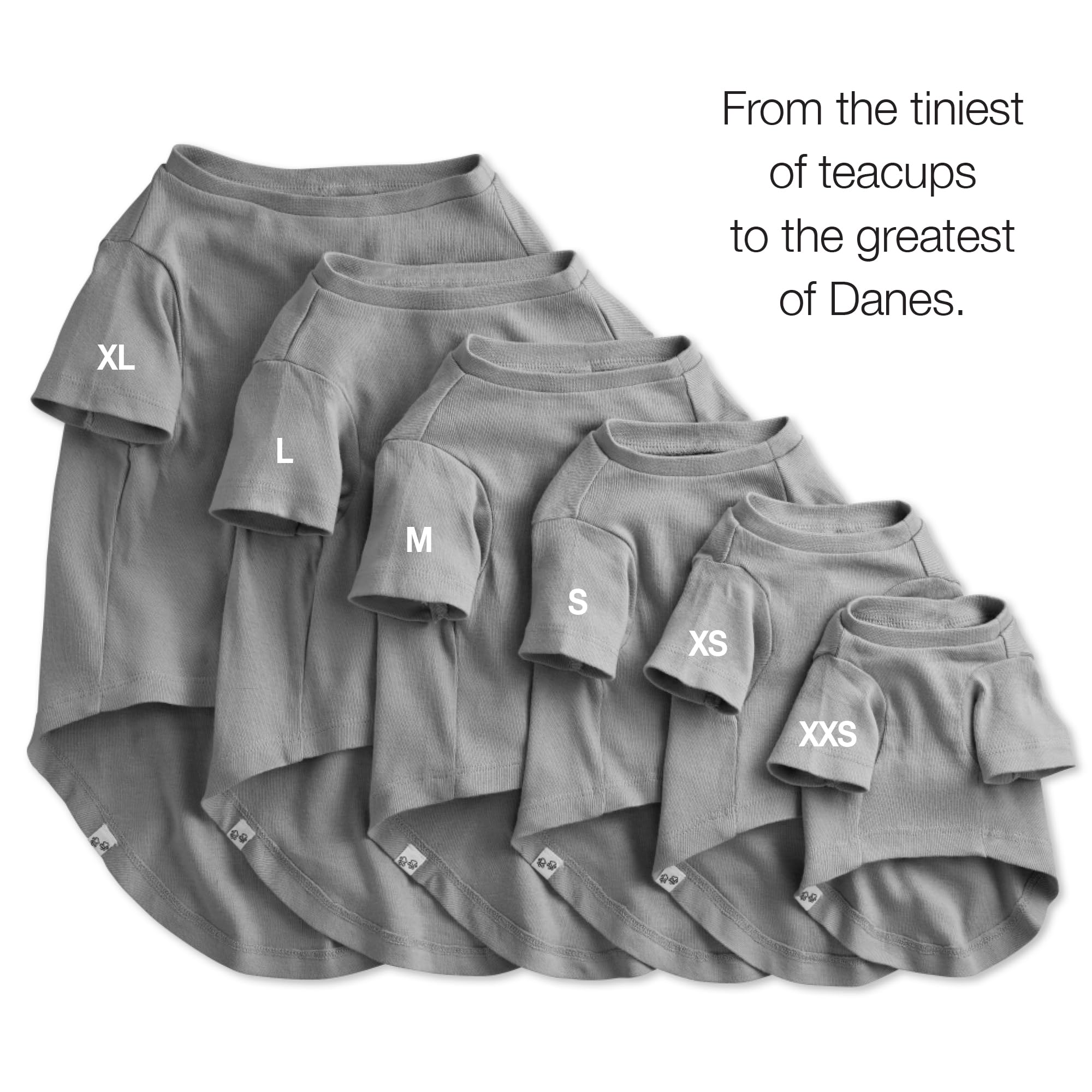 Pet Passion Multipack 100% Organic Cotton Dog Short Sleeve T-Shirt Pet Tees For All Breeds, Gray Ombre, X-Small