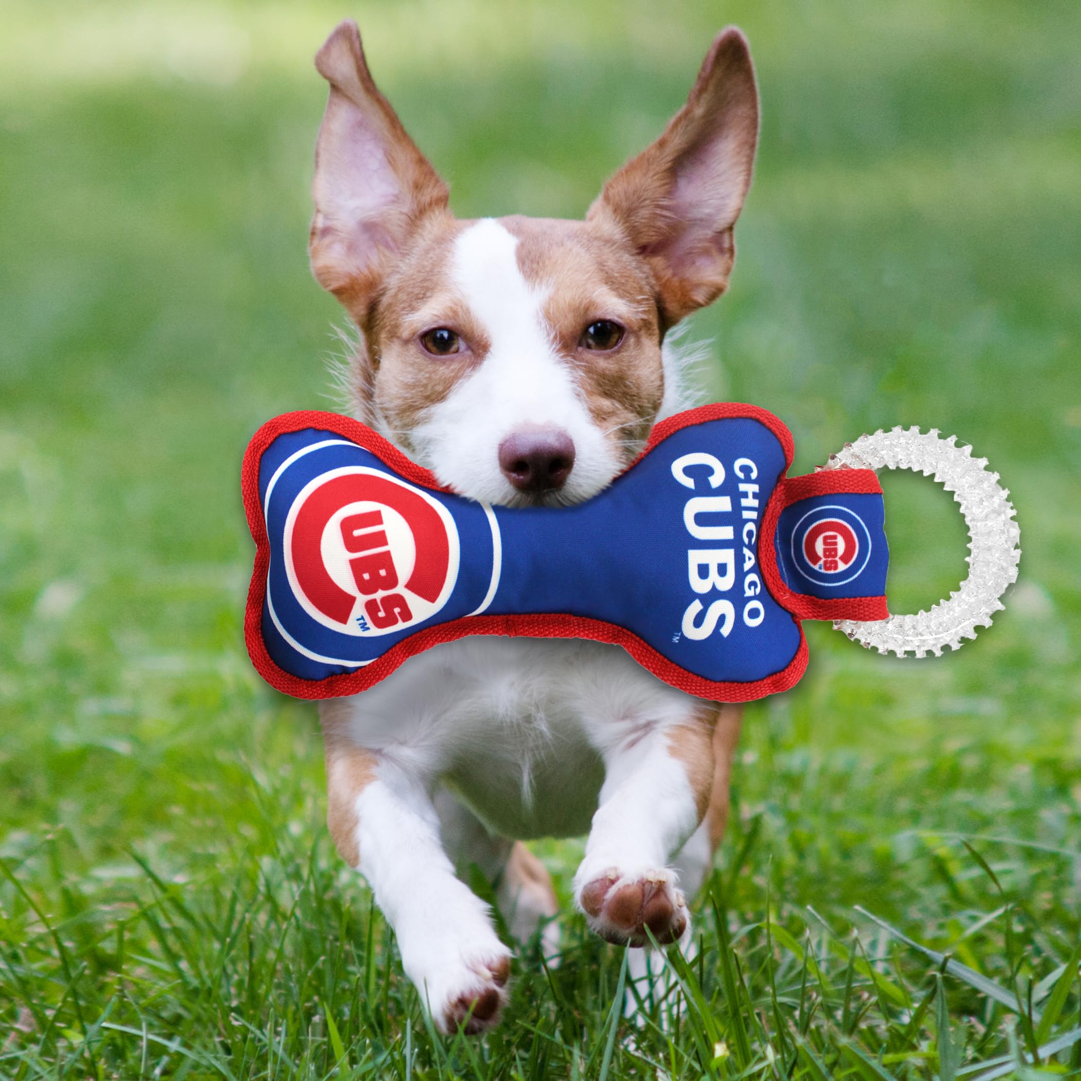 Mlb Chicago Cubs Bone Shaped Dental Dog Tug Toy With Squeaker. Tough Pet Toy For Healthy Fun, Teething, And Cleaning Pet'S Teeth