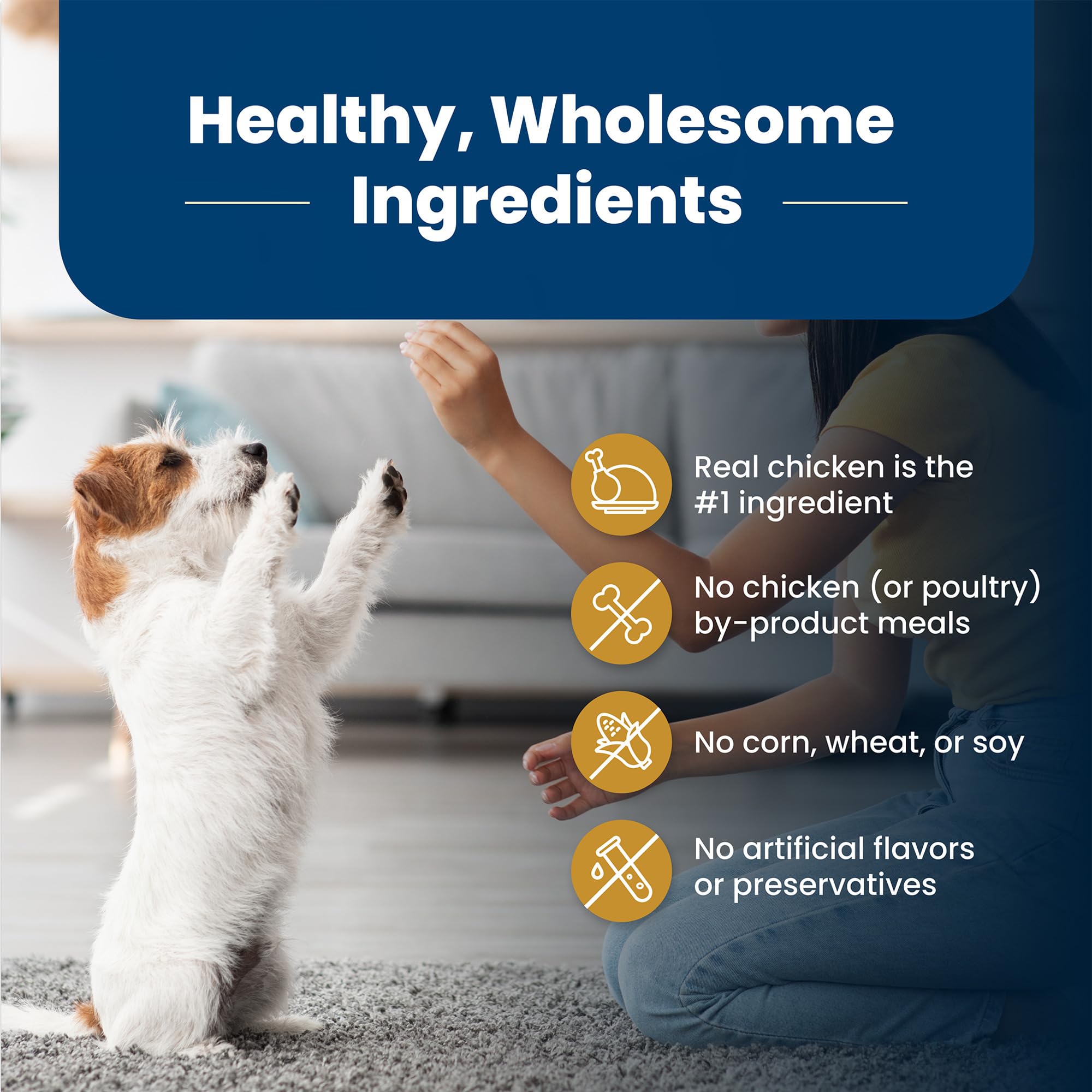 Blue Buffalo Life Protection Formula Healthy Weight Natural Small Breed Dry Dog Food, Supports an Ideal Weight, Made with Natura