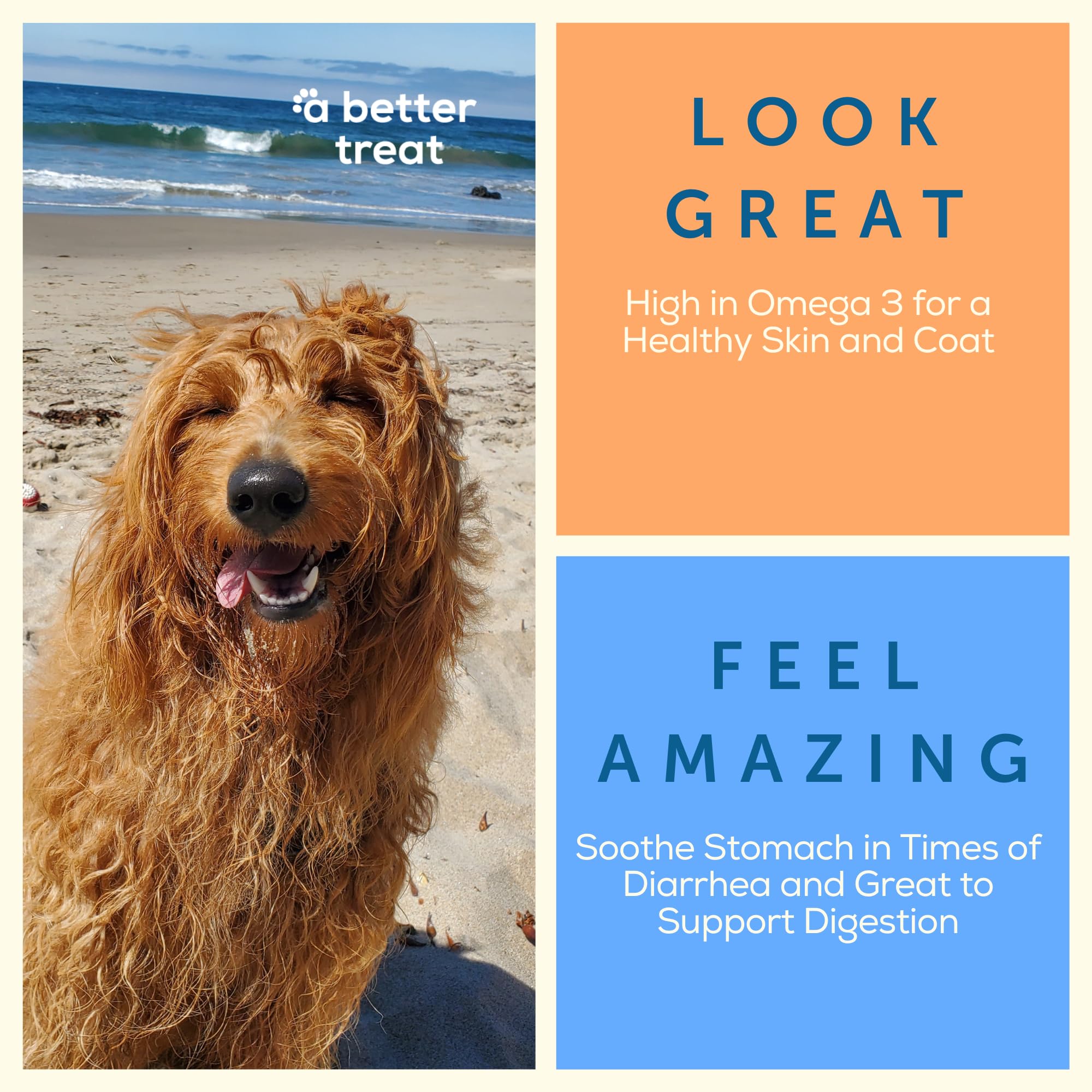 A Better Treat - Freeze Dried Organic Pumpkin, Wild Caught Salmon, Grass Fed Beef, Free-Range Chicken Dog and Cat Treats | Natur