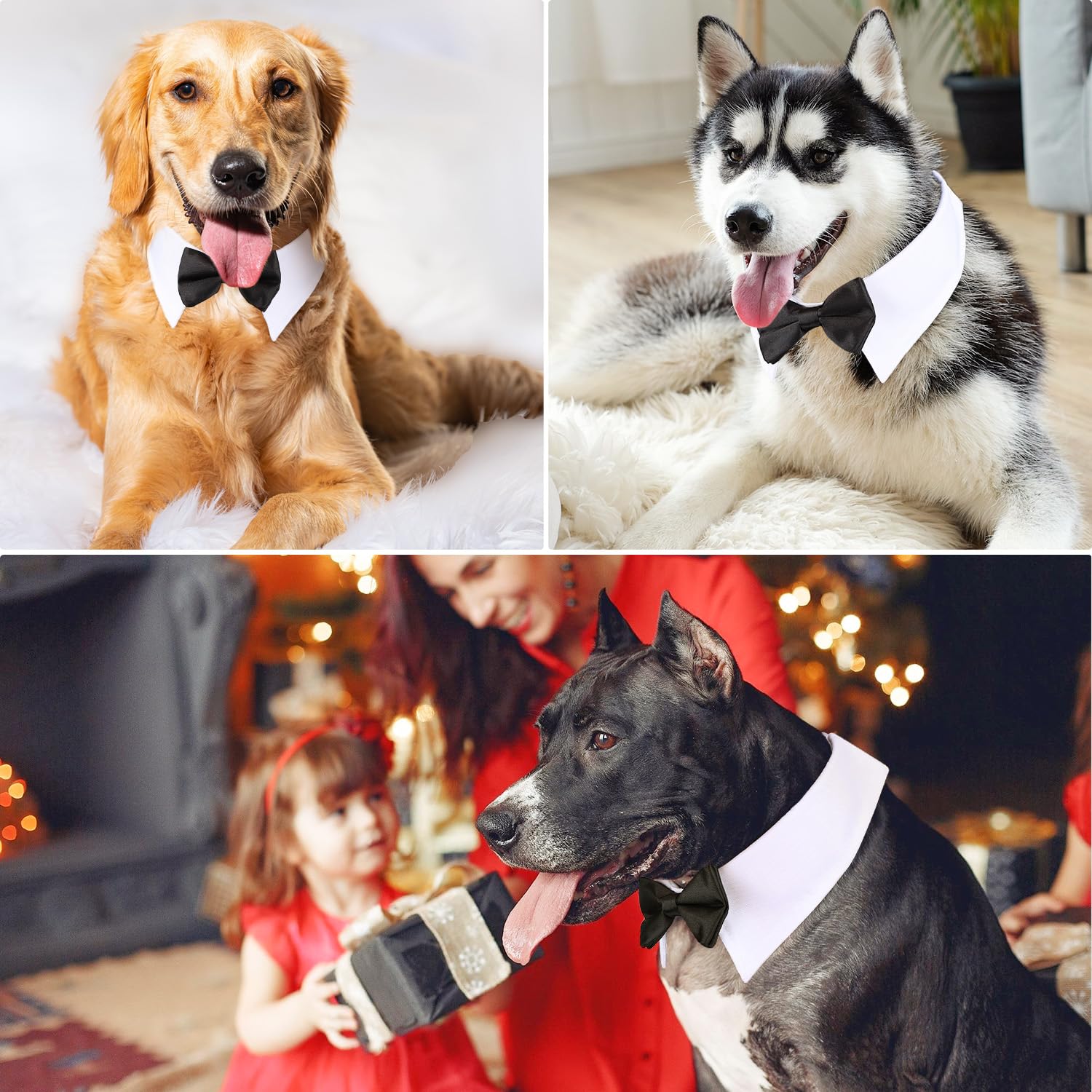 Segarty Dog Tuxedo Bow Tie Collar - Black Bowtie With Handcrafted Adjustable White Formal Pet Cats Necktie For Medium Large Boy