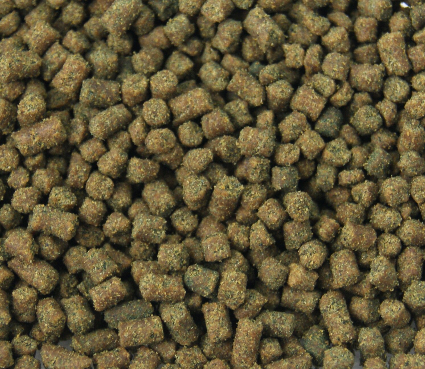 Josh's Frogs Dart Frog Tadpole Food - 2 oz (Pack of 1) - Ideal Nutrition for Dart Frog Tadpoles