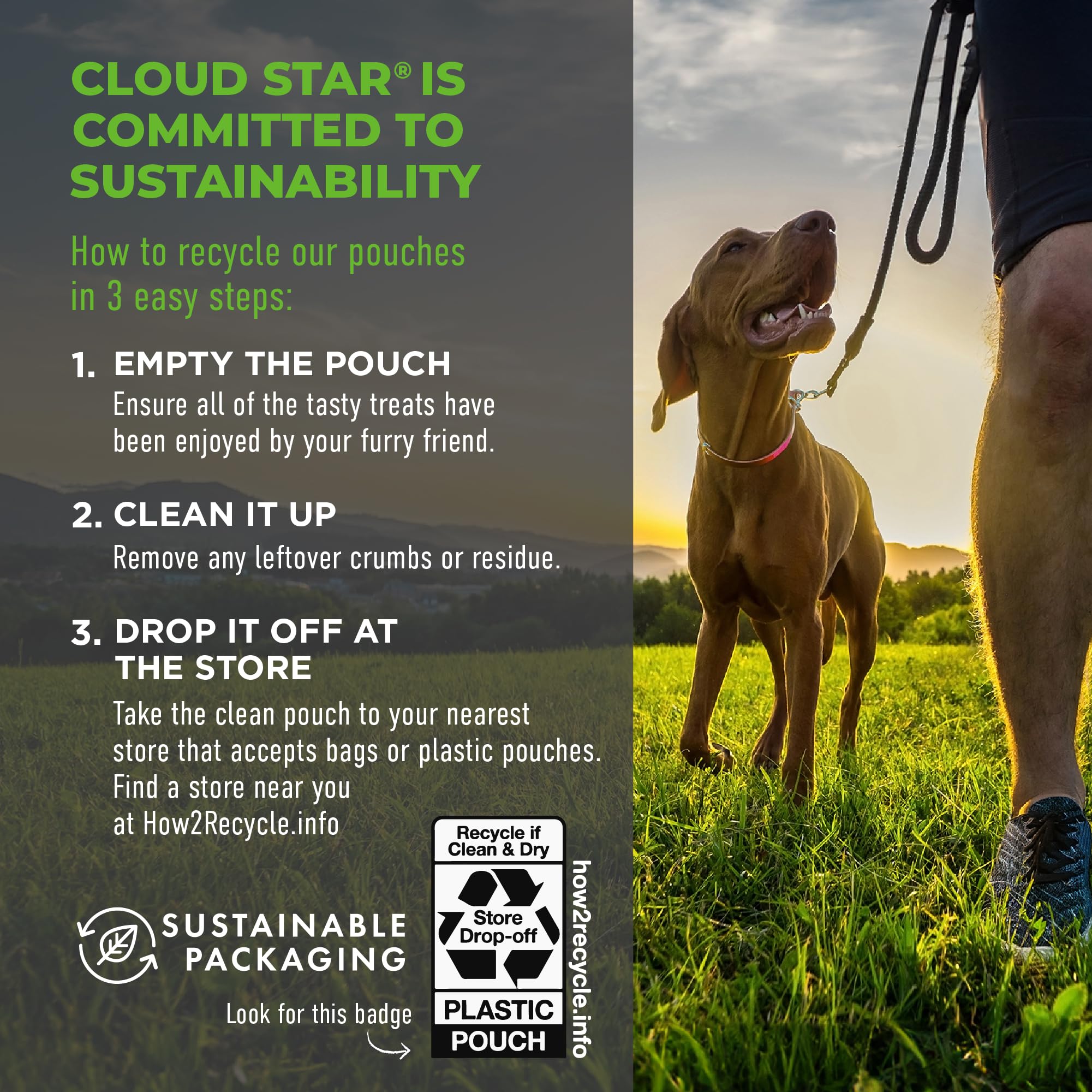 Cloud Star Wagmore Dog Meatball Grain Free Lamb 14Oz