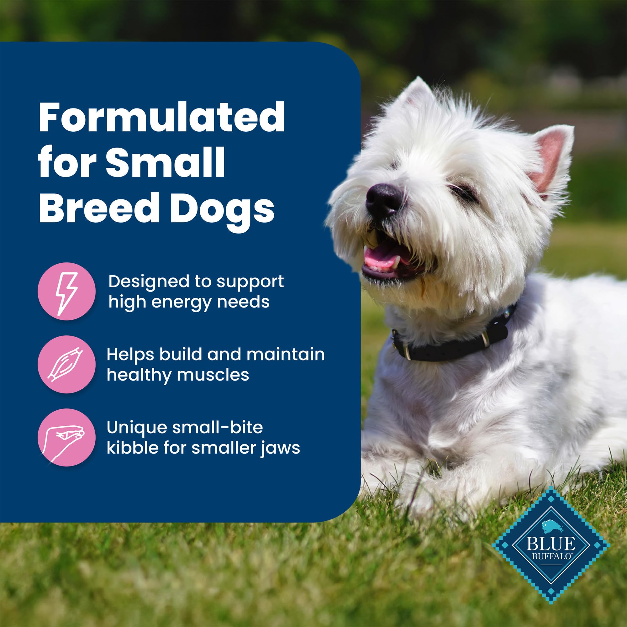 Blue Buffalo Life Protection Formula Adult Small Breed Dry Dog Food, Supports High Energy Needs, Made with Natural Ingredients,