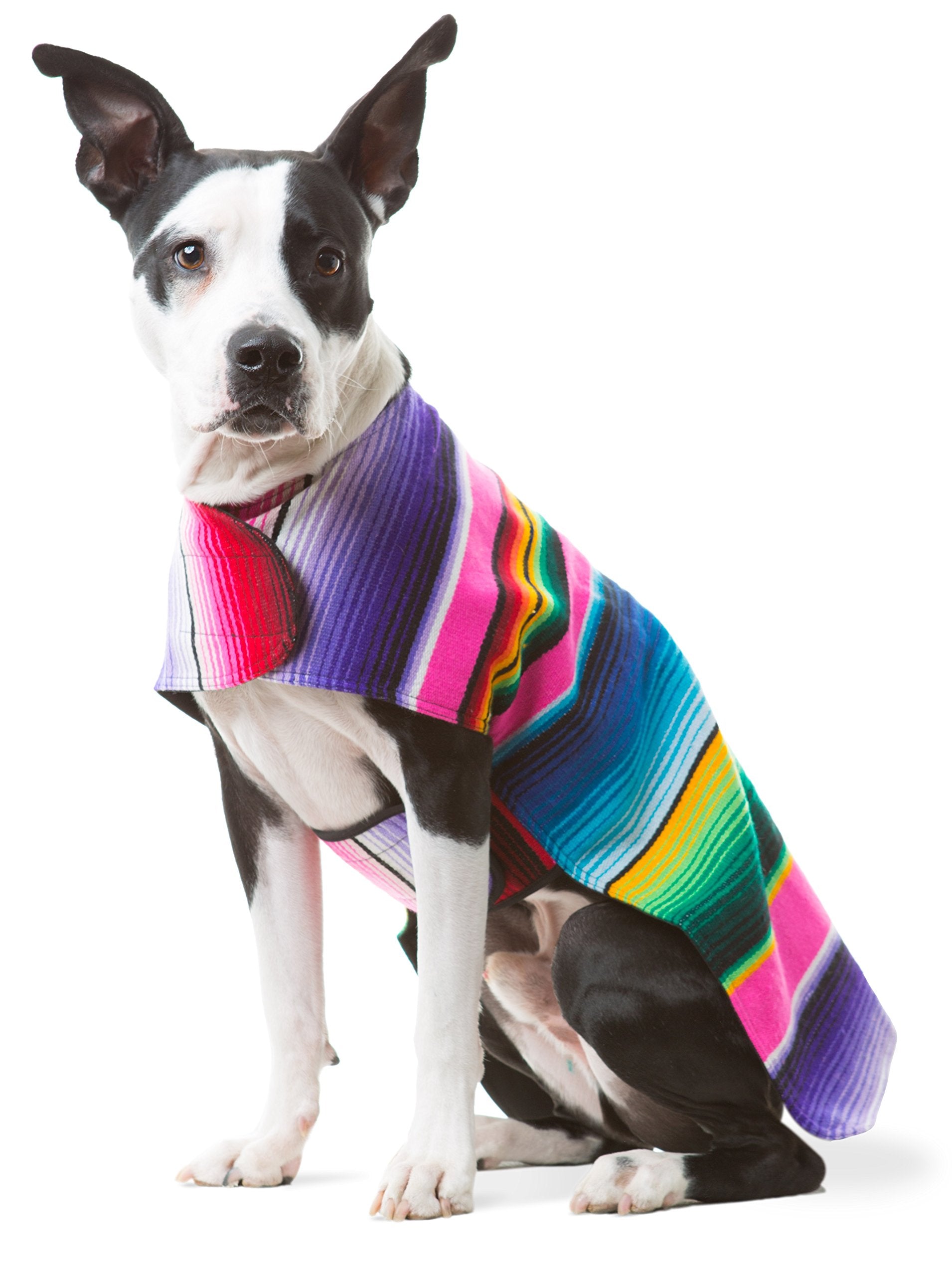 Dog Clothes - Handmade Dog Poncho From Authentic Mexican Blanket By Baja Ponchos (Pink, X-Large)