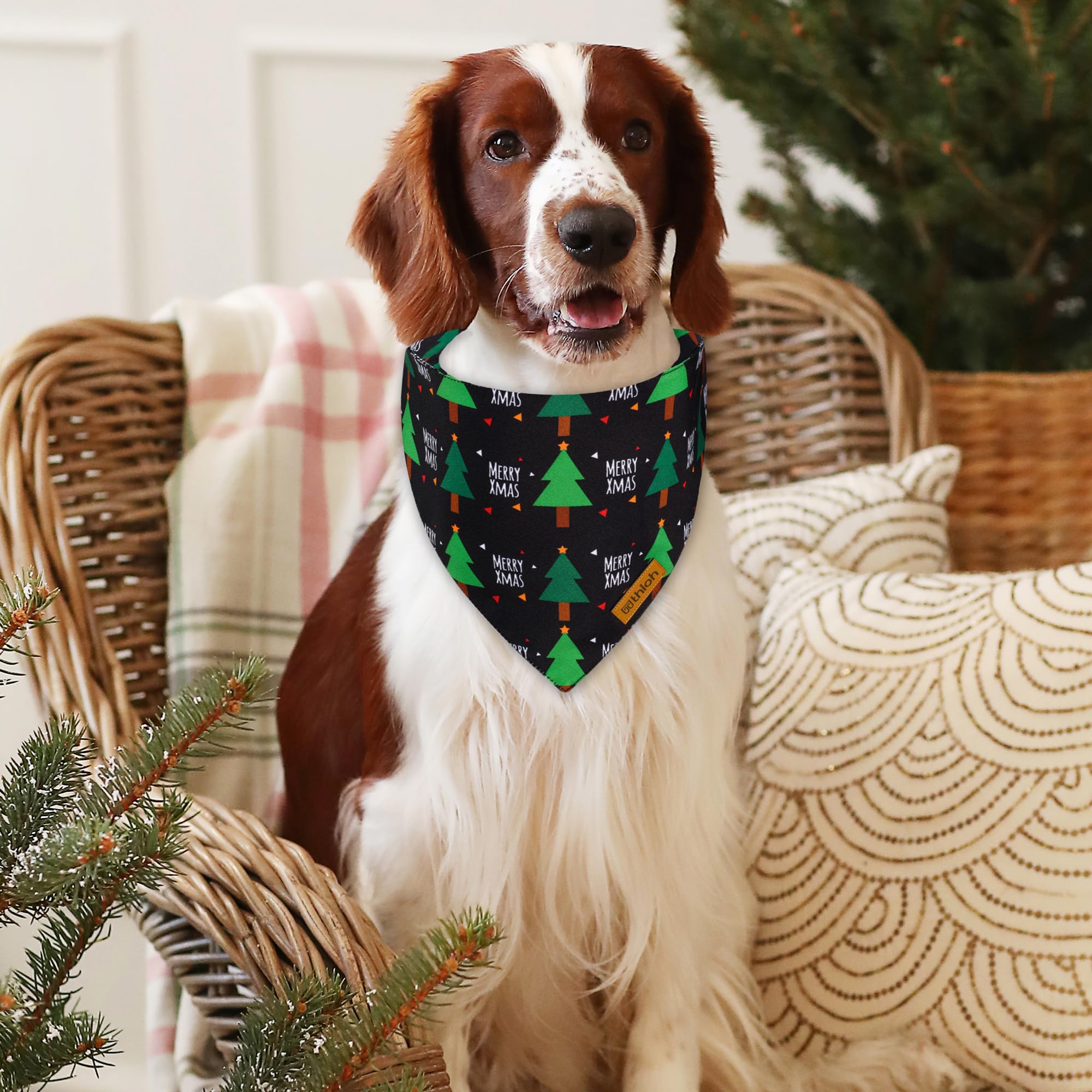 Thloh Christmas Dog Bandanas With Snap Button - 2 Pack Reversible Santa Claus Dog Scarf For Boy & Girl, Dog, Christmas Tree Holi