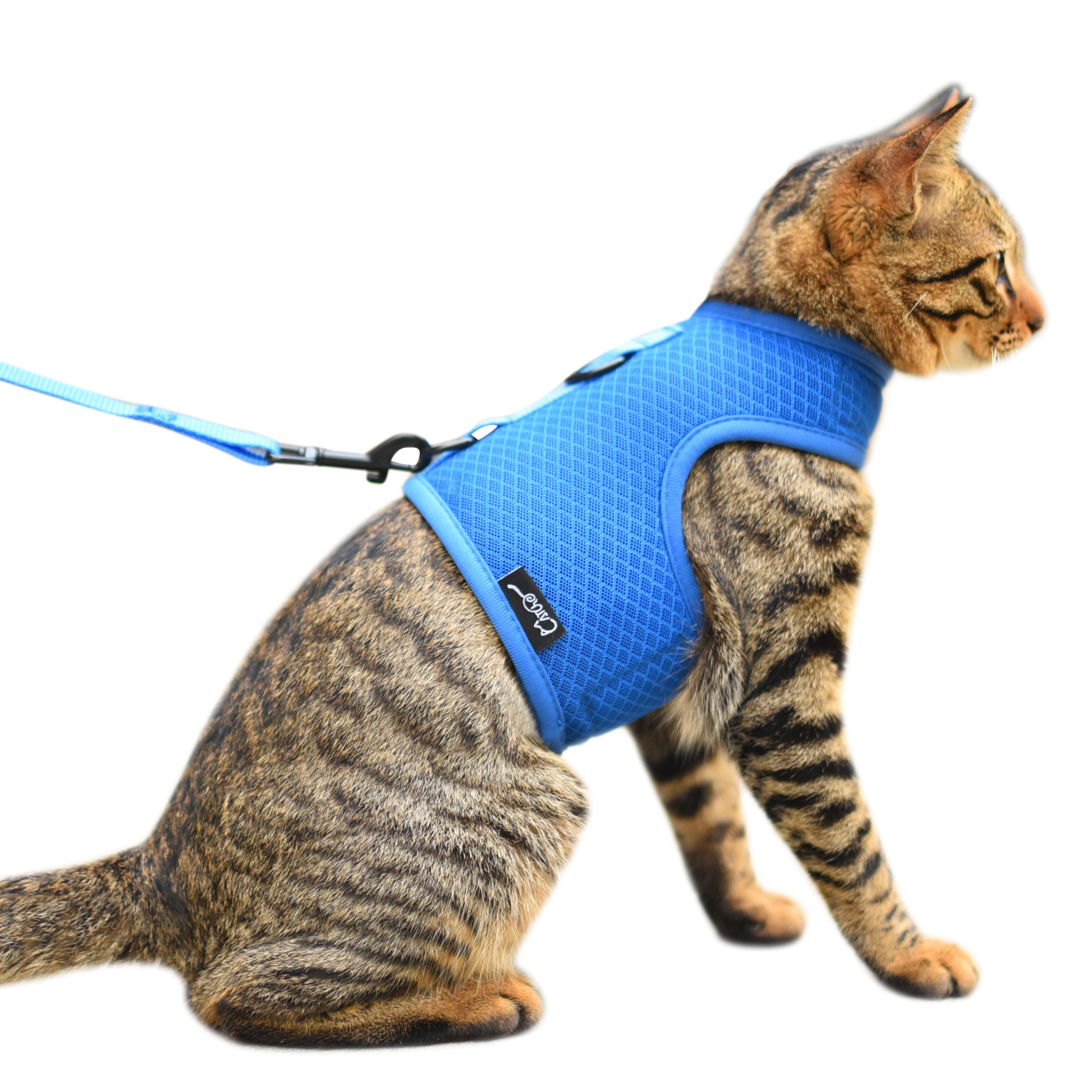 Cat Harness And Leash For Walking Escape Proof Breathable Mesh Fabric, Solid Blue, Large, Adjustable Cat Walking Jackets, Padded