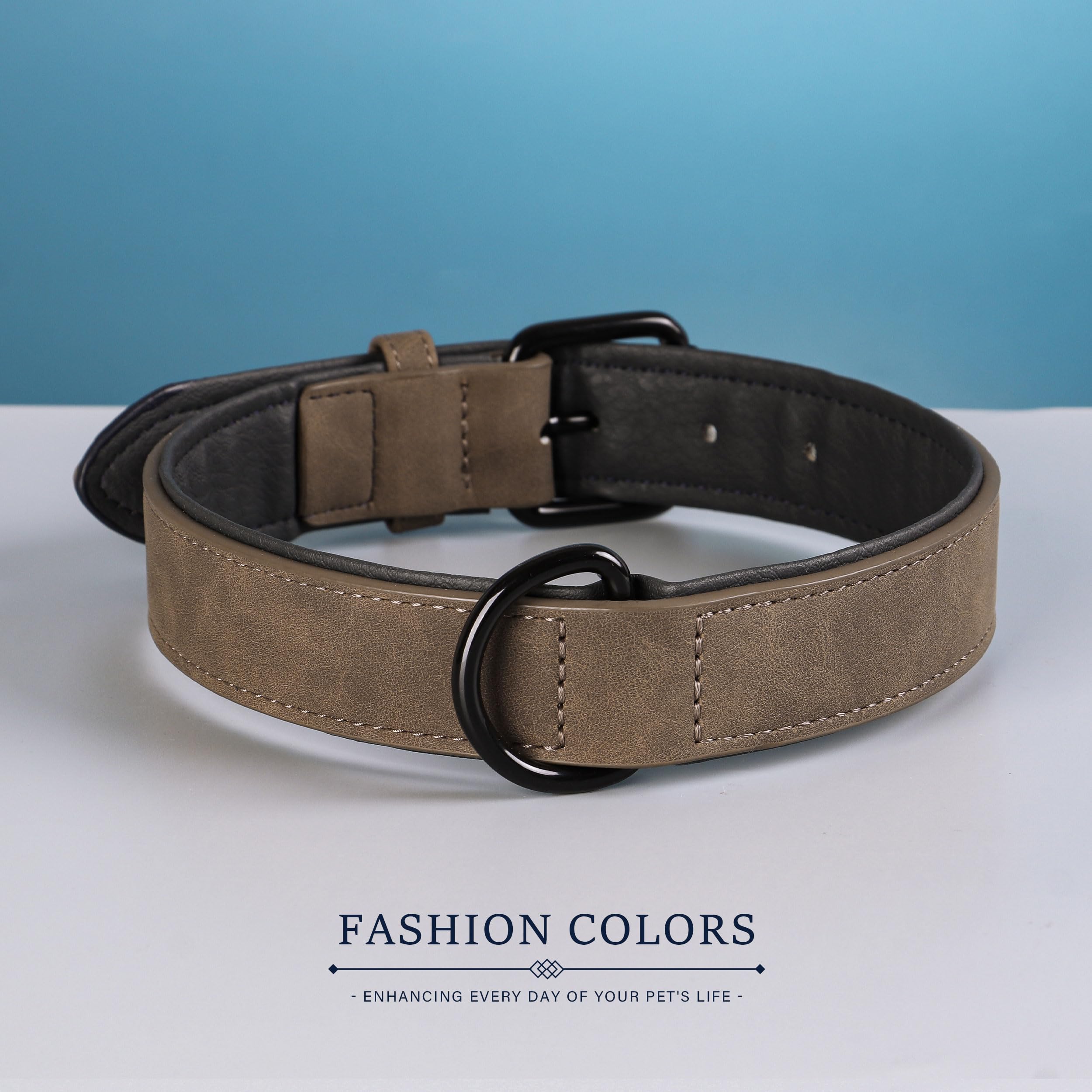 Didog Soft Padded Leather Dog Collar, Breathable Heavy Duty Dog Collar Leather With Adjustable Rust-Proof Metal Buckle For Small