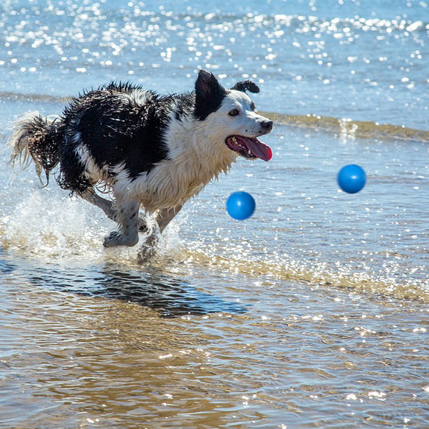 Dlder Indestructible Dog Balls, Solid Rubber Bouncy Balls For Dogs Aggressive Chewers,100% Safe & Non-Toxic, Floating Durable Dog Chew Ball For Medium&Large Dogs To Training, Play, Exercise And Fetch.