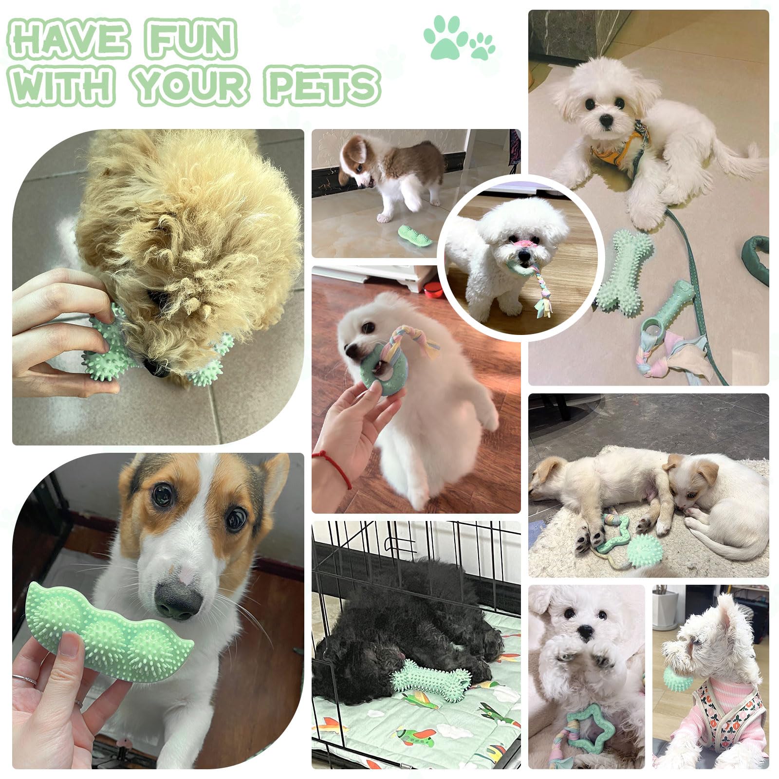 Petcare 6 Pack Small Dog Toys For Small Breed, Cute Green Puppy Teething Toys, Rubber Chew Toys, Essentials To Keep Them Busy, B