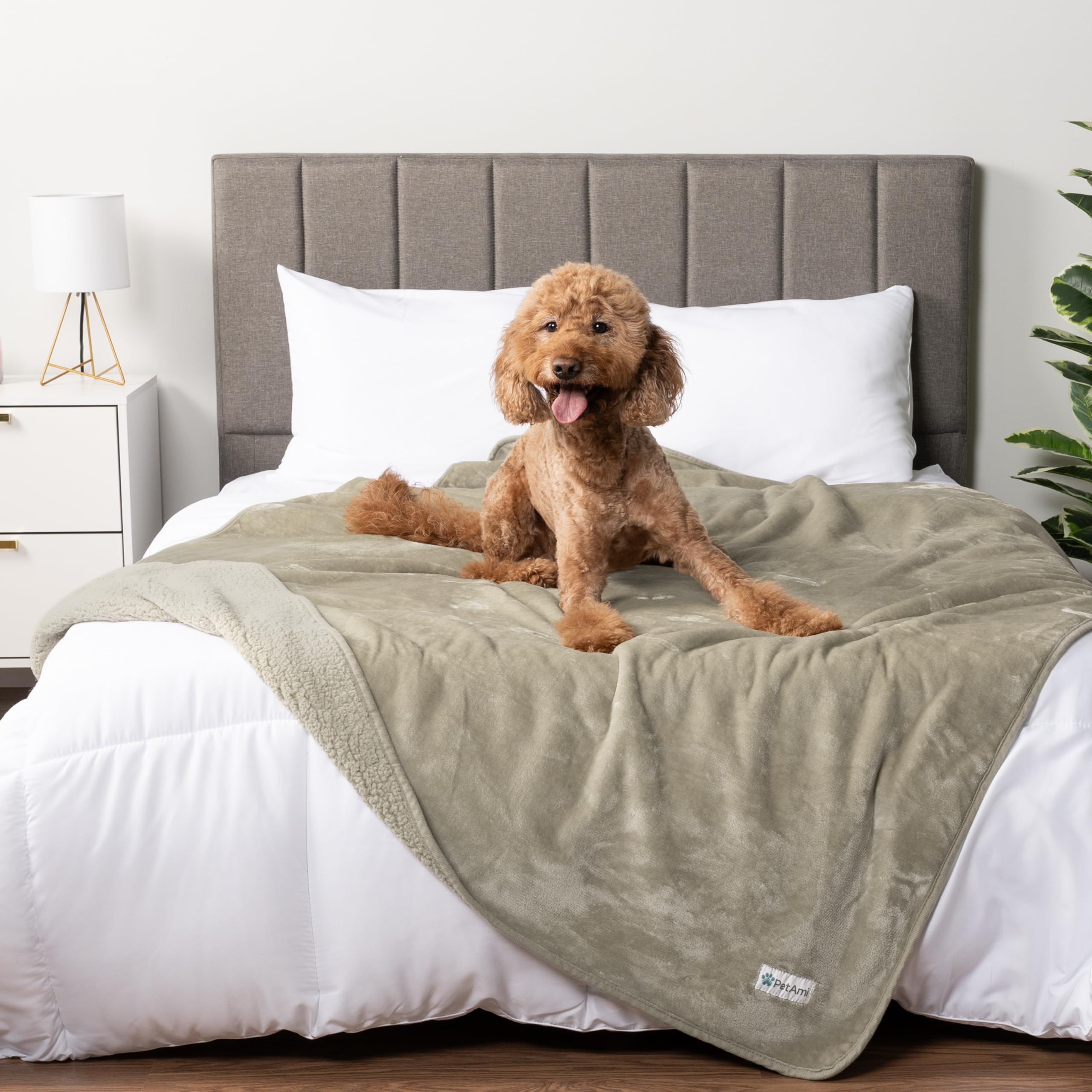 PetAmi Waterproof Dog Blanket for Medium Large Dogs, Pee Proof Pet Blanket for Couch Bed, Reversible Water Proof Blanket for Pup