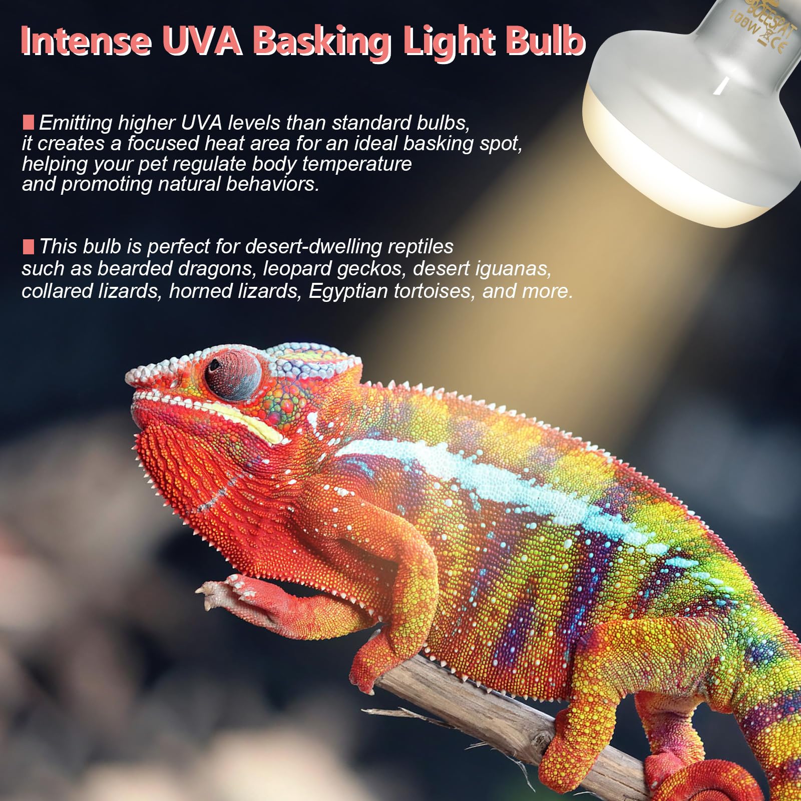 BOEESPAT Intense 75W UVA Daylight Heat Lamp Bulbs for Basking - Simulated Sunlight Perfect for Desert-Dwelling Reptiles and Amph