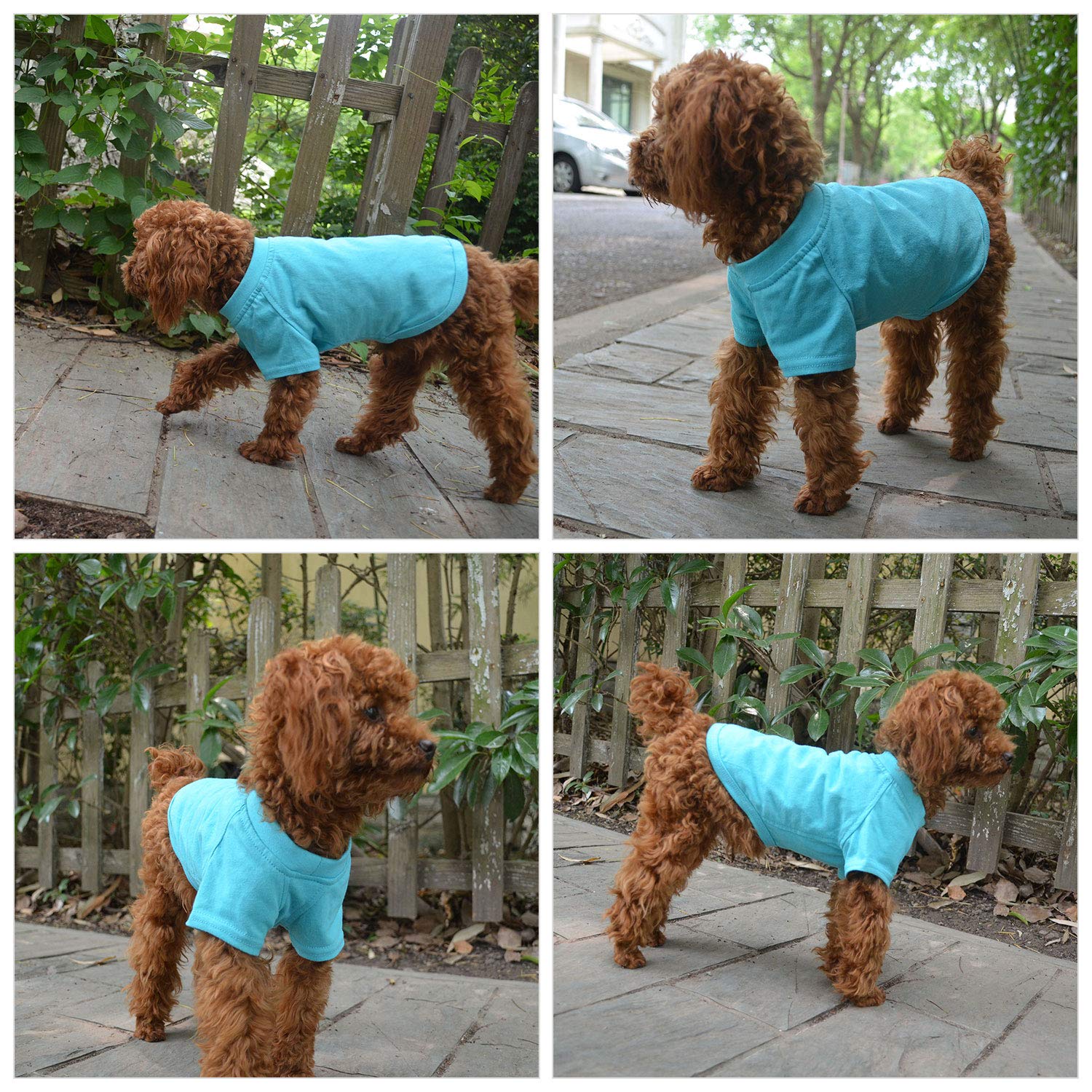 Lovelonglong Pet Clothing Dog Costumes Basic Blank T-Shirt Tee Shirts For Medium Dogs Turquoise Xxl