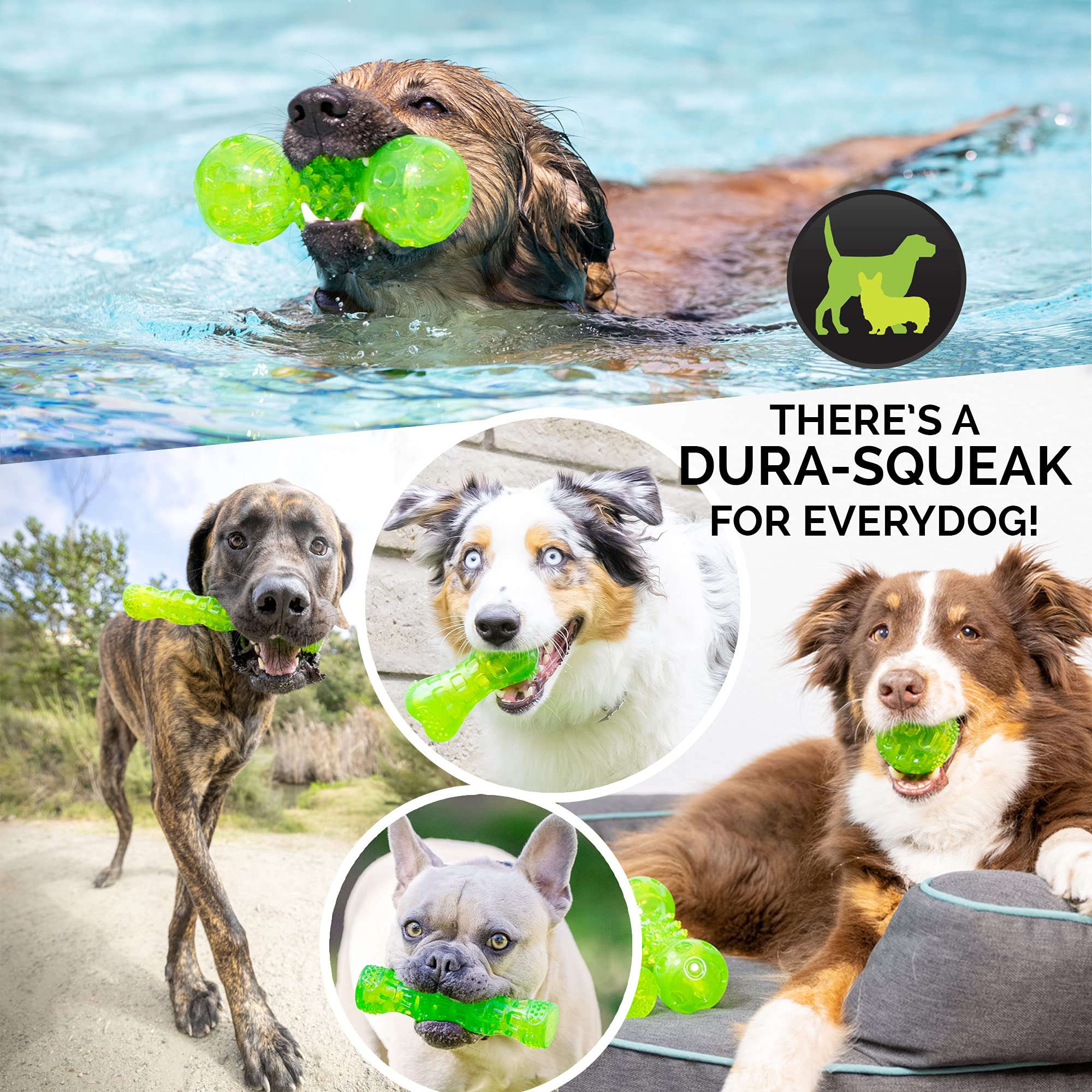 Hyper Pet Durasqueaks Dog Toy Balls And Dog Chews (Squeaky Dog Ball For Interactive Play – Floating Dog Balls And Dog Toys) - Medium Stick