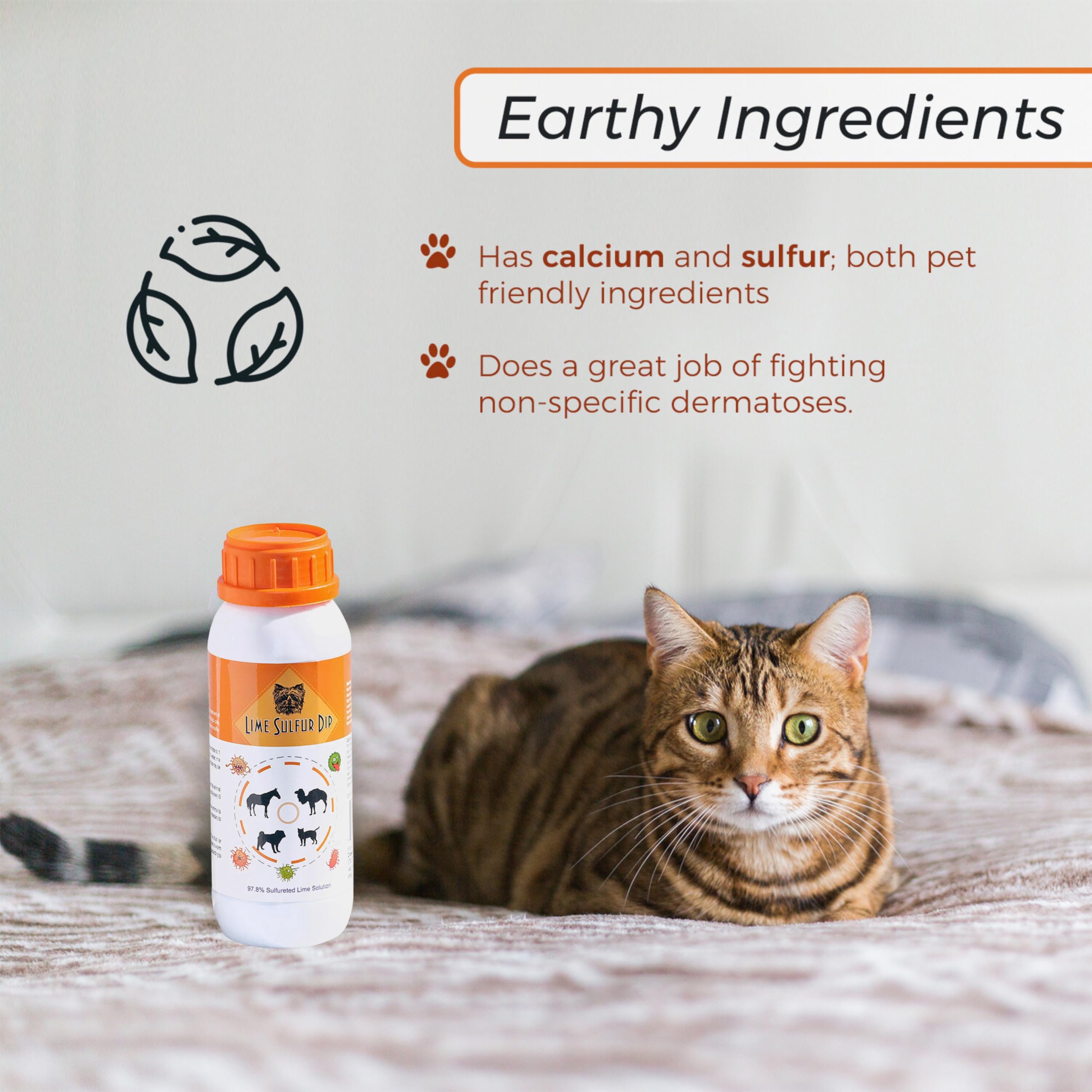 Healthy Paw Life - Lime Sulfur Dip - Pet Care For Itchy And Dry Skin - Xtra Strength Formula - Safe Solution For Dog, Cat, Puppy, Kitten, Horse (16 Oz)