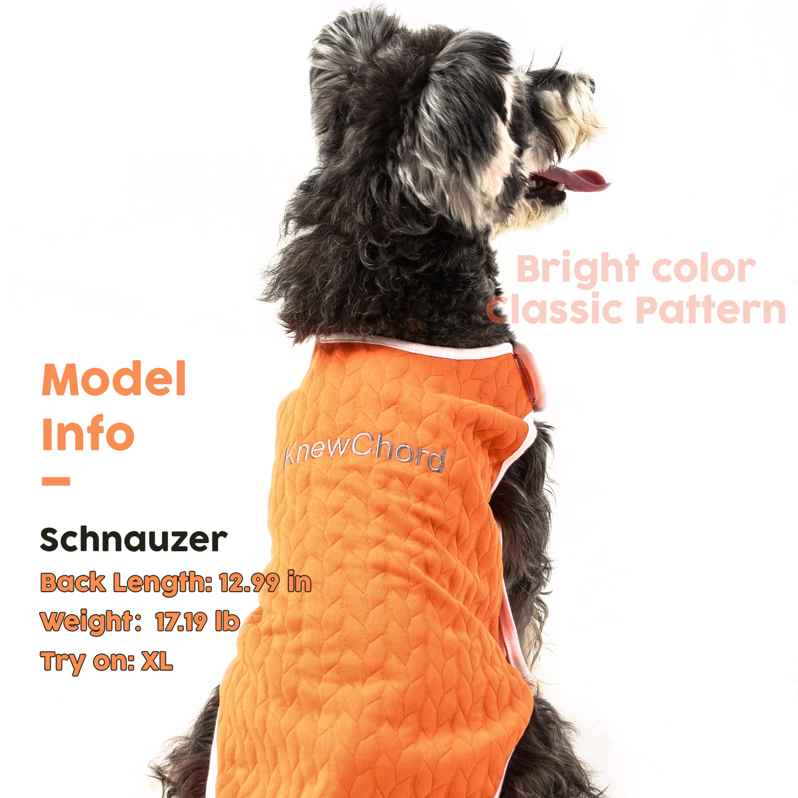 Knewchord Dog Shirts Soft Warm Cat Shirts Pet T-Shirt Puppy Dog Apparel Tee Tanks, Easy On And Off (Orange, Xxxx-Large)